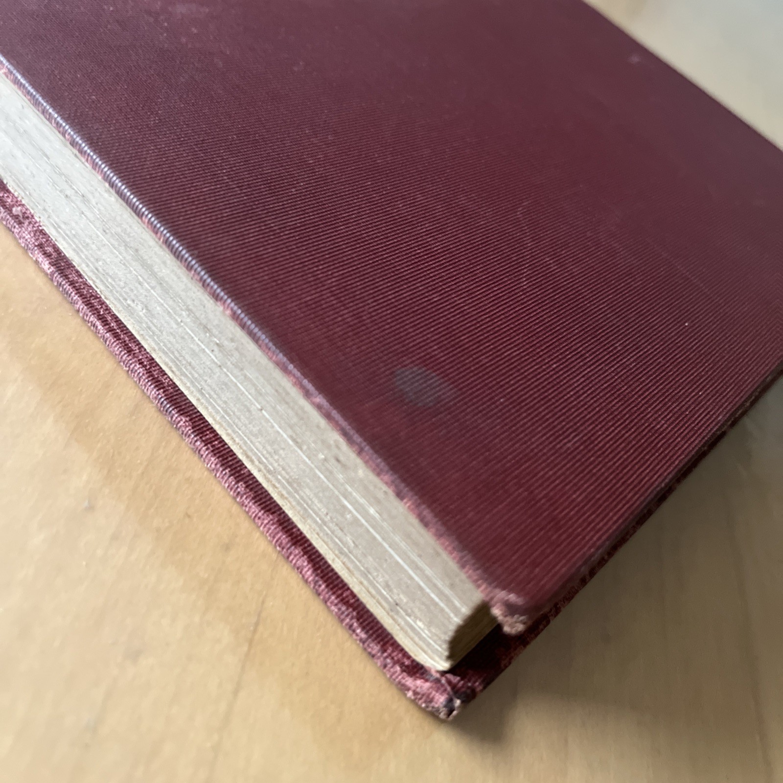 By Rail And Trail Mae Foster JAY 1st Edition 1928 Illustrated Hardcover