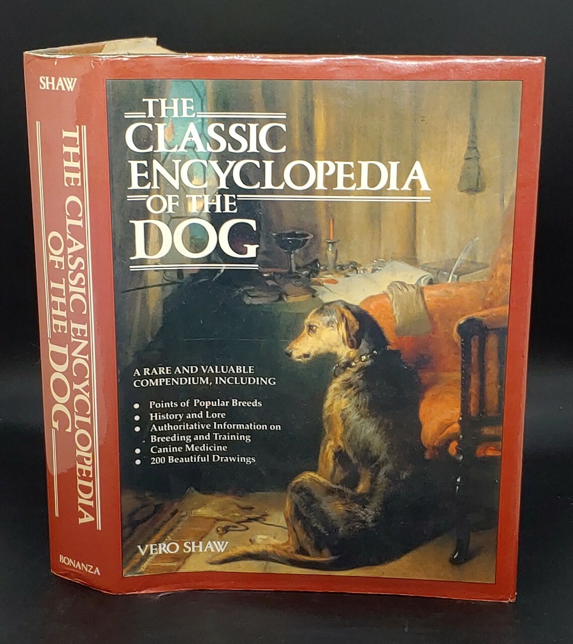 1984 REPRINT 1879-1881 CLASSIC ENCYCLOPEDIA OF THE DOG by VERO SHAW Art History