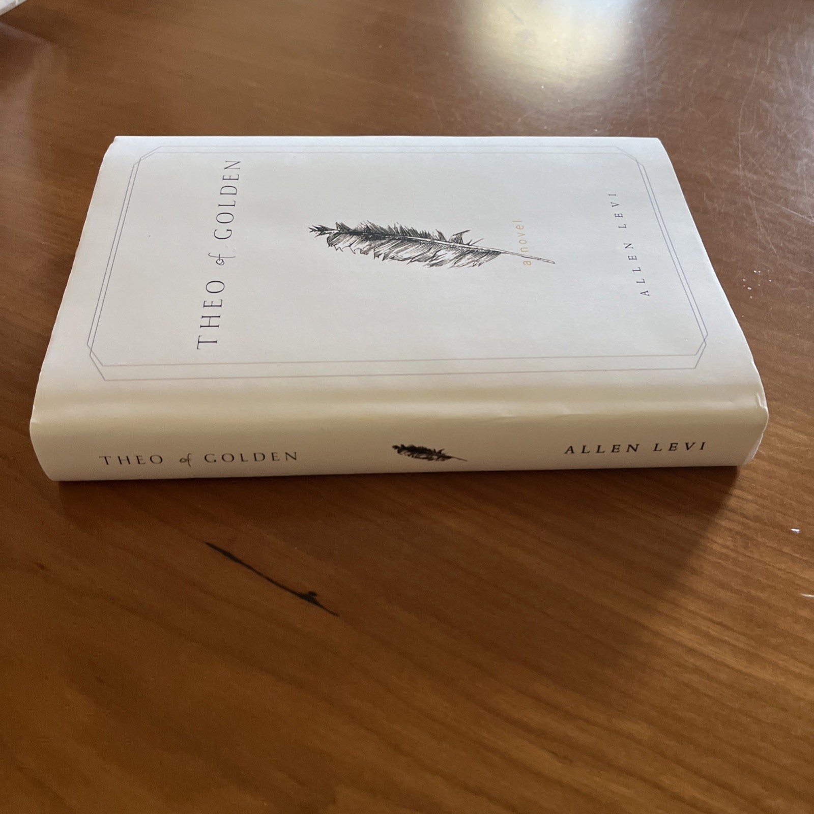 Theo of Golden Allen Levi True First Edition Self Published Hardcover Book 2023
