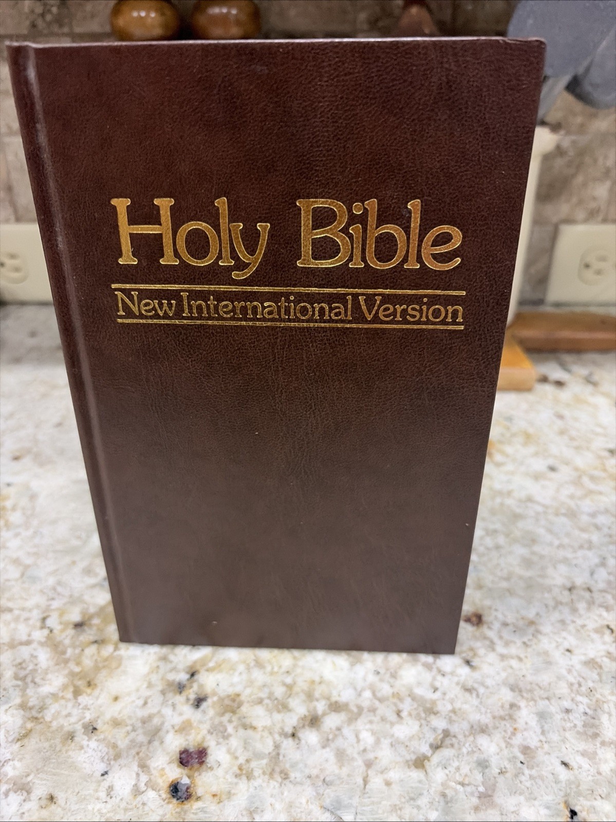 New International Version NIV Holy Bible International Bible Society 1984 Brown