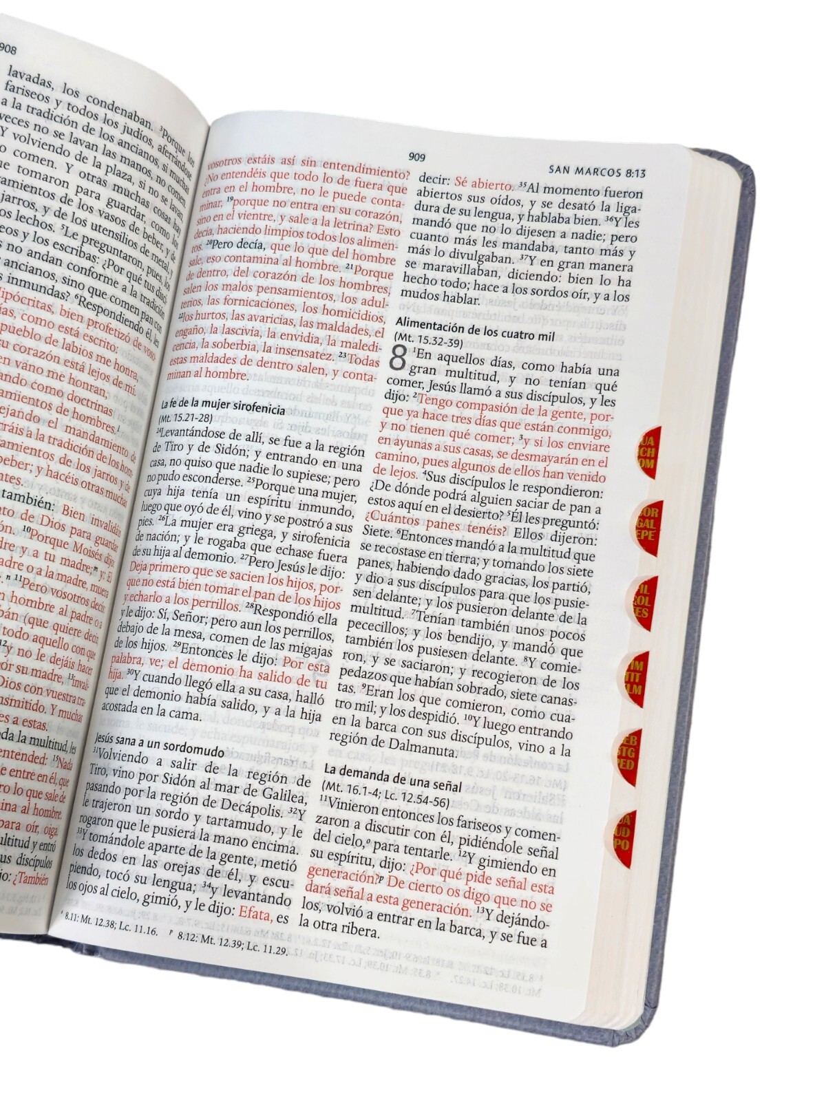 Biblia RVR60 Letra Grande Tamaño Manual, Tapa Dura león Rey de Reyes Con Indice