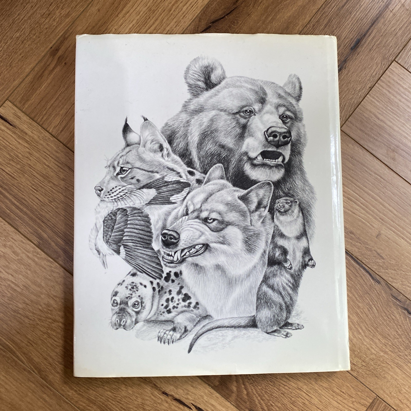 Mammals of Britain and Europe by Pope, Joyce Hardback Book