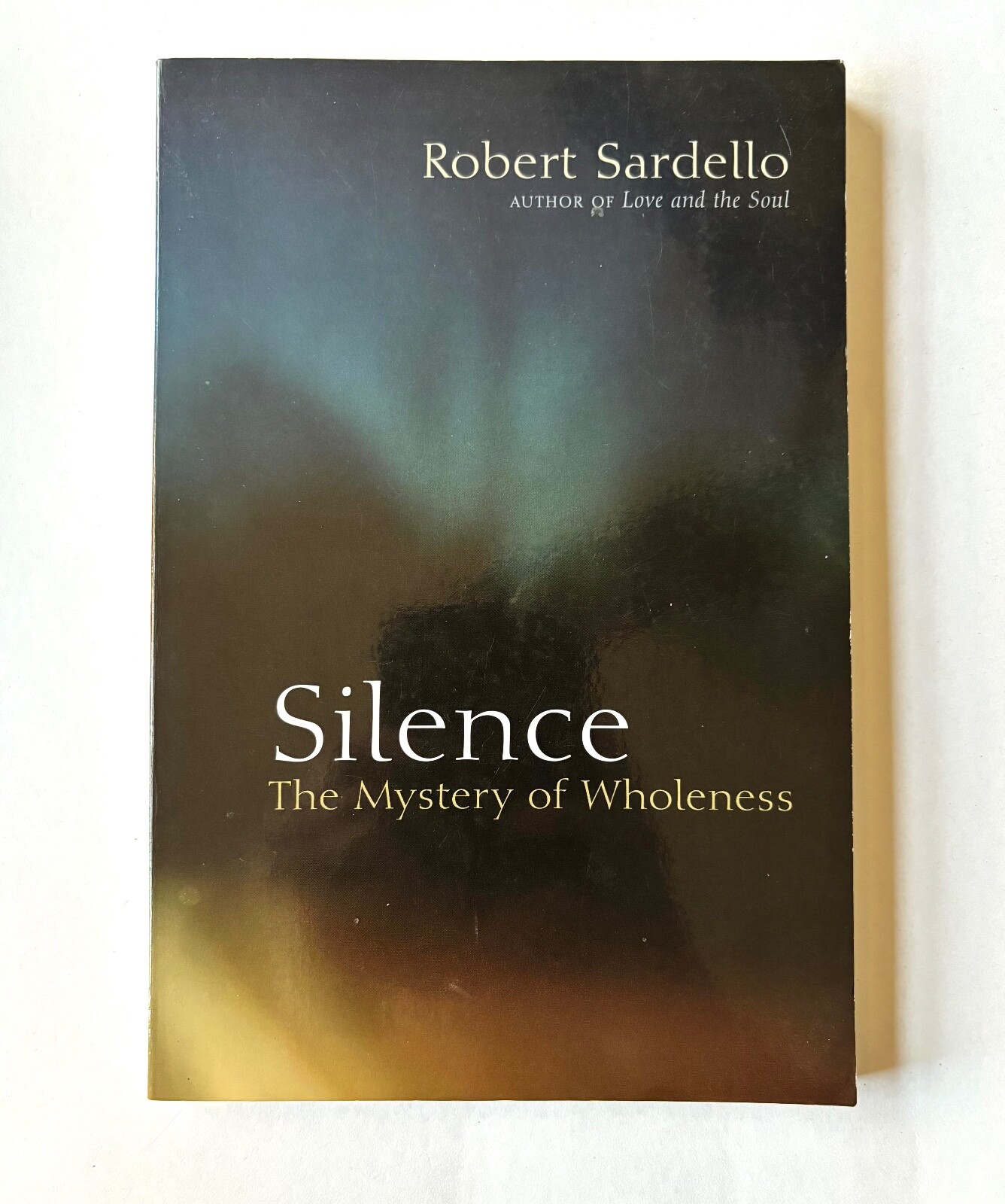 Silence : The Mystery of Wholeness by Robert Sardello – pbk North Atlantic Books