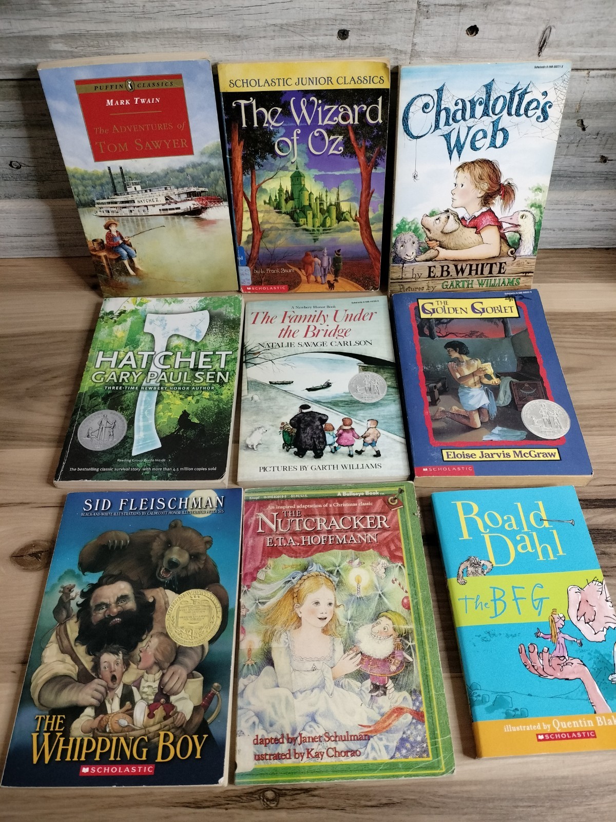 Lot of 9 Children’s Kids Classics Chapter Books Ages 8-12 Boys And Girls Mix