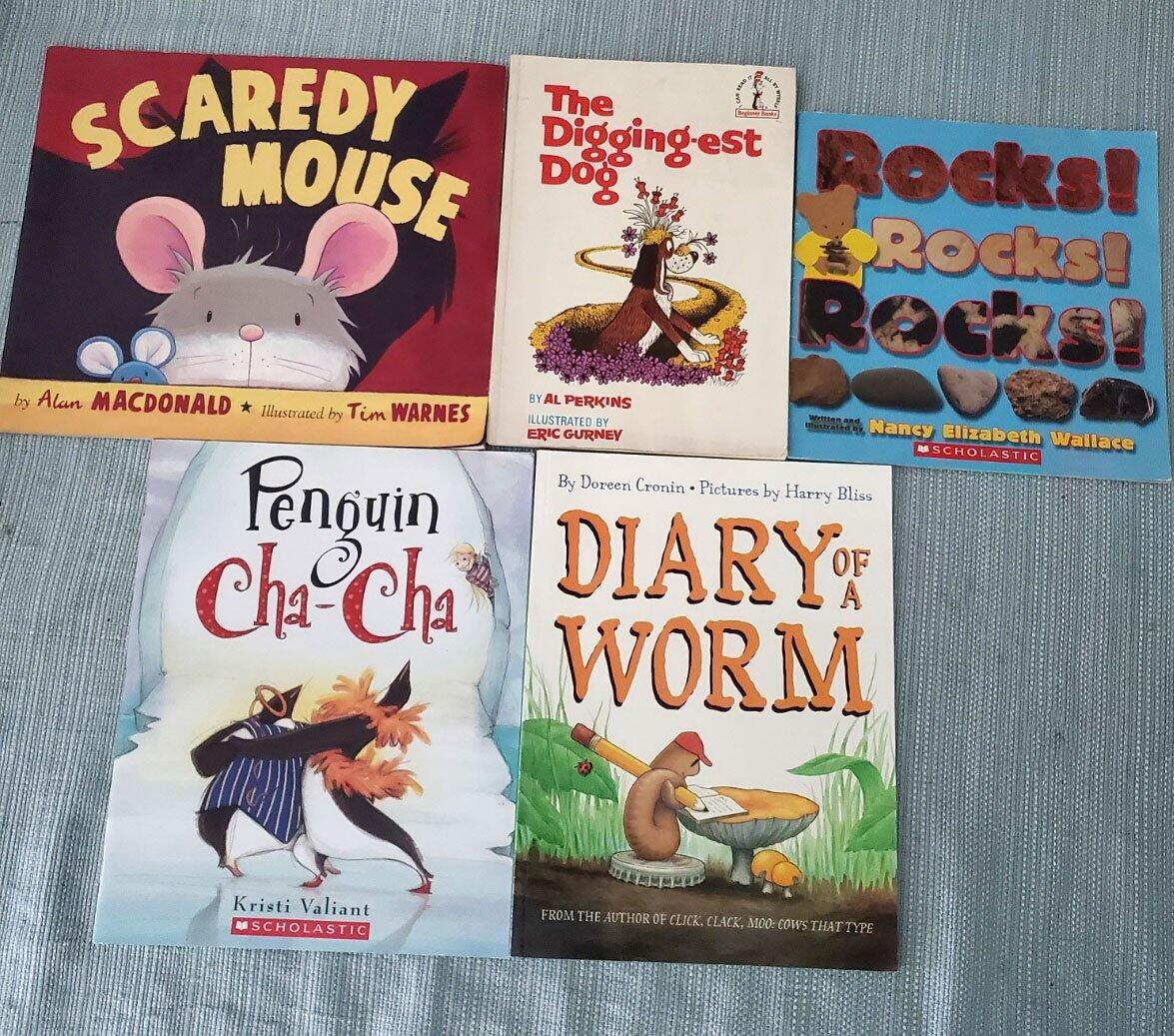 Lot 25 ACCELERATED READER AR Level 2.0-2.9 2ND GRADE Picture Books