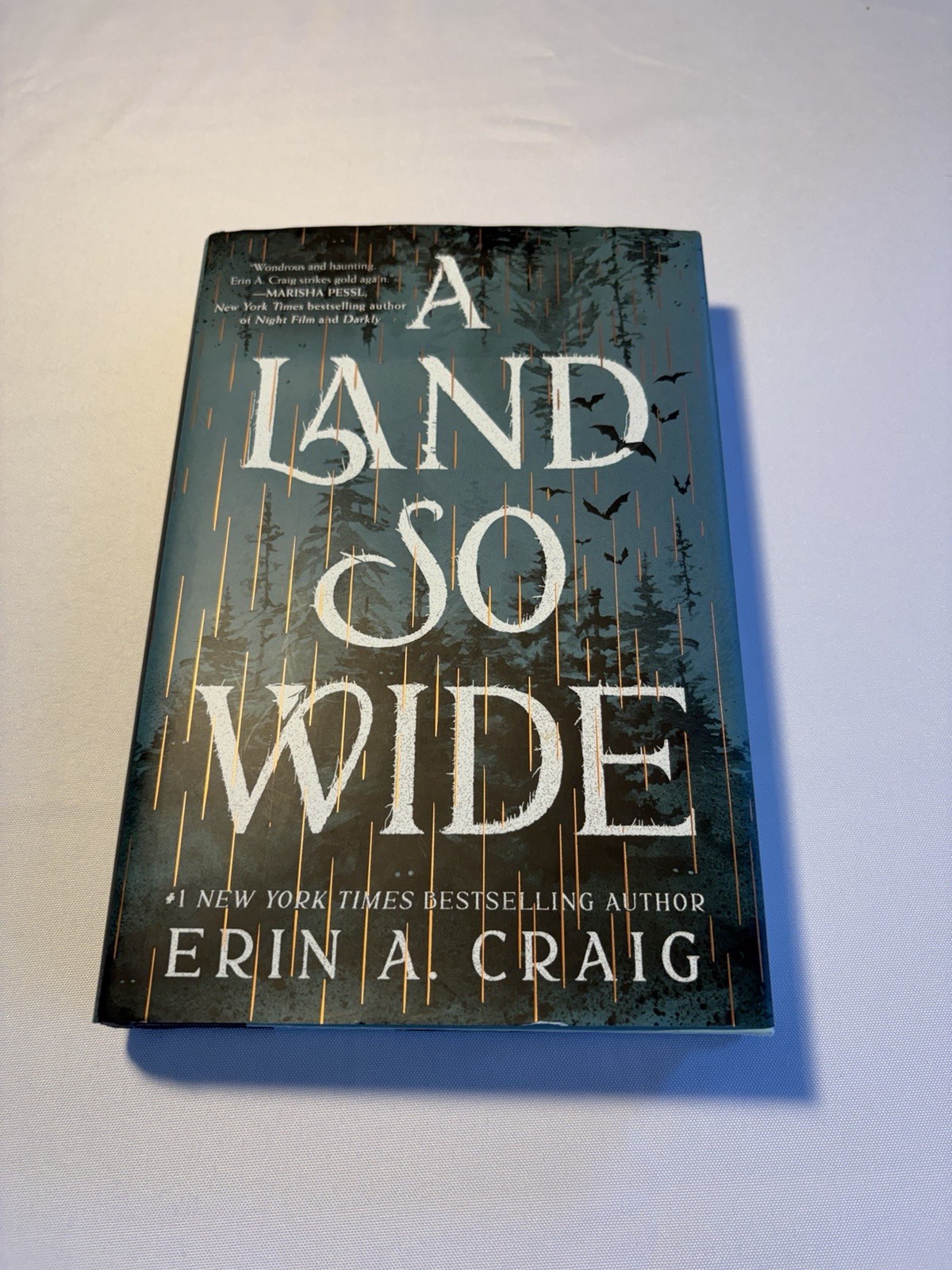 A Land So Wide : A Novel by Erin A. Craig (2025, Hardcover)