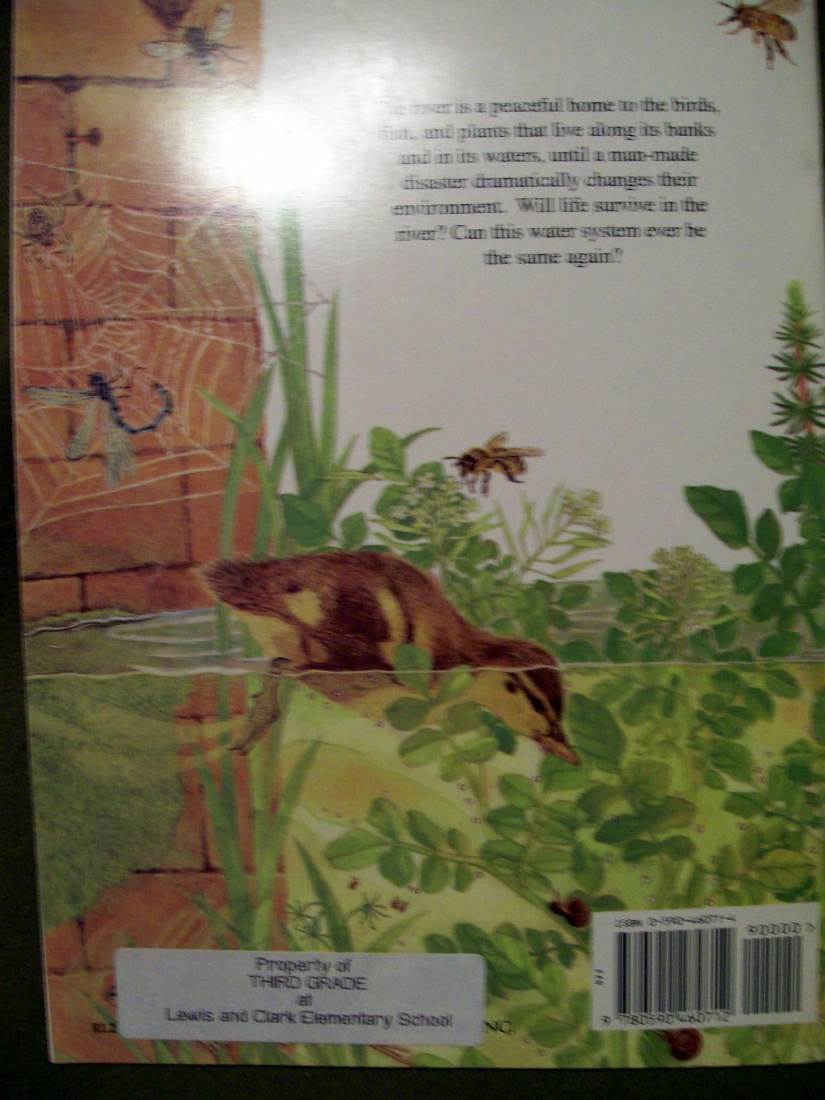 The River by David Bellamy (1988, Paperback)