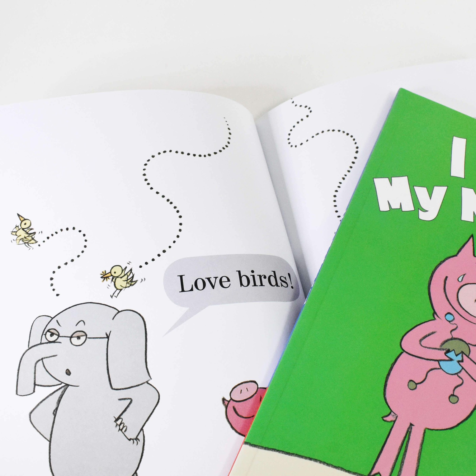 The Wonderful World of Elephant and Piggie 10 Book Box Set by Mo Willems – PB
