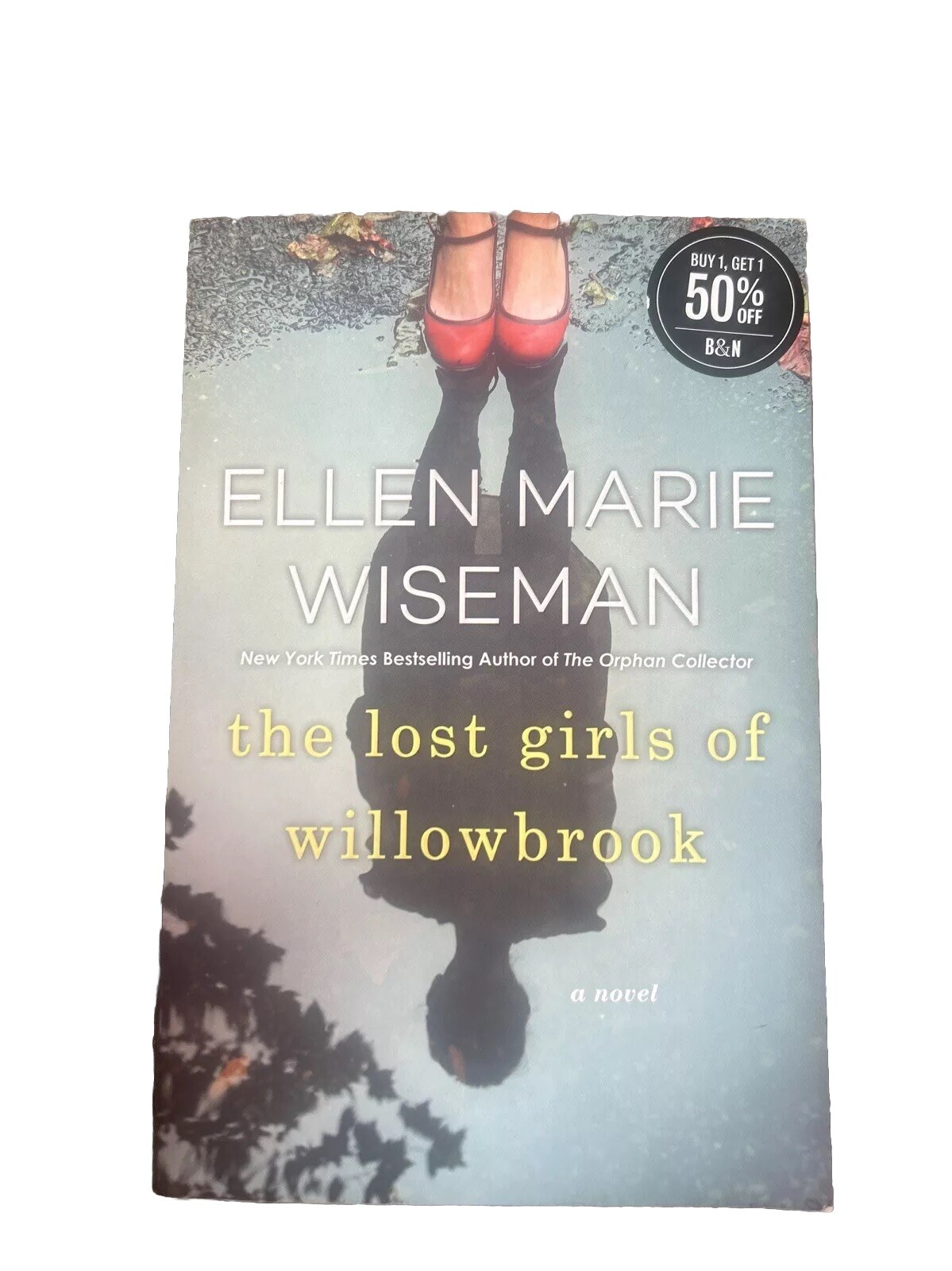 Lost Girls of Willowbrook : A Heartbreaking Novel of Survival Based on True…