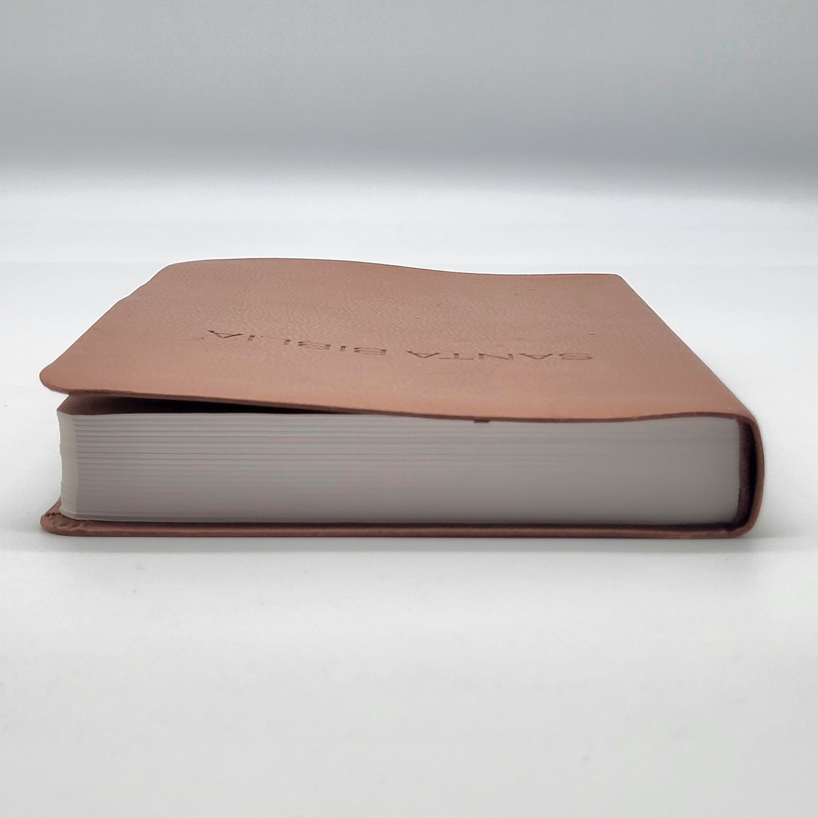 Santa Biblia NVI Spanish Brown Soft Cover Bible
