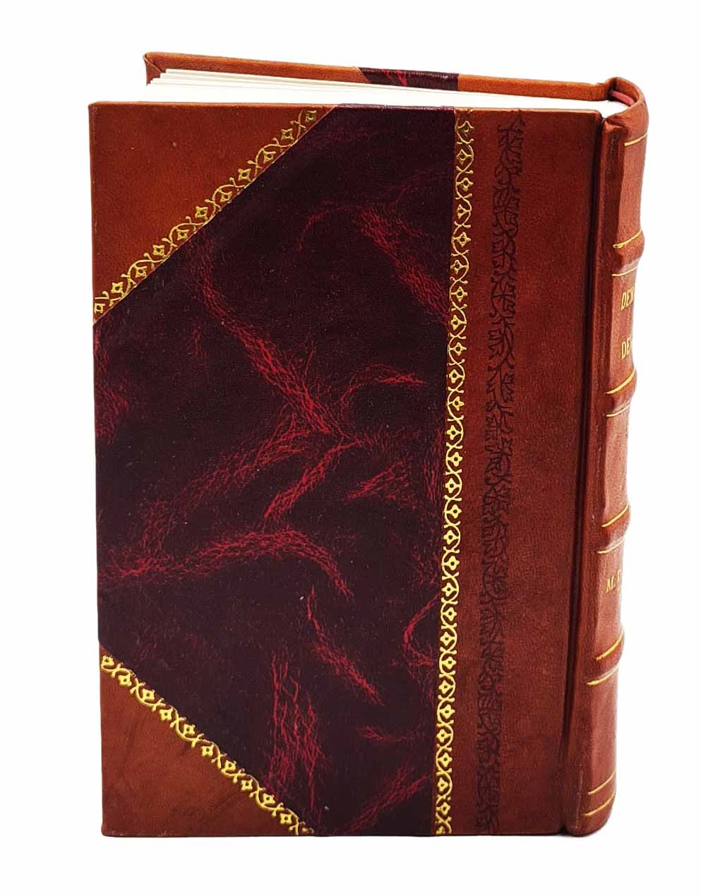 Demonology and devil-lore 1879 [LEATHER BOUND] BY Conway, Moncure Daniel