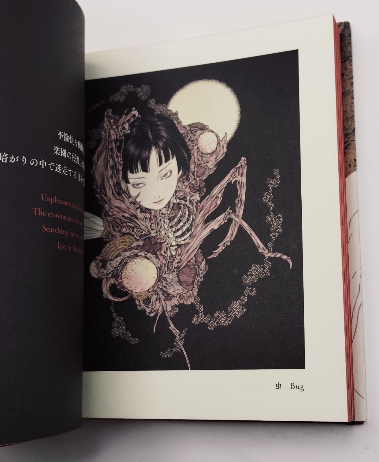 Vampire’s Box Takato Yamamoto Art Book Gothic Illustration