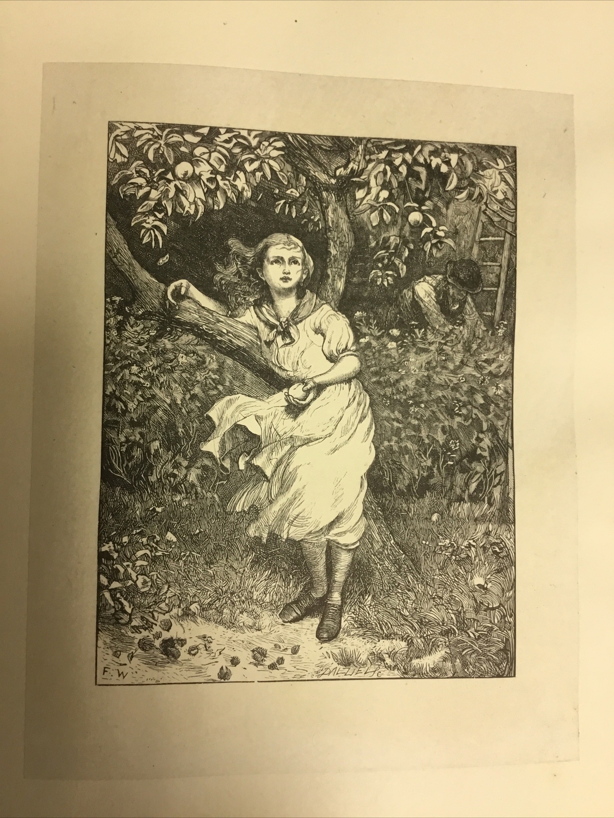 English Rustic Pictures Walker & Pinwell, India Proofs 1882