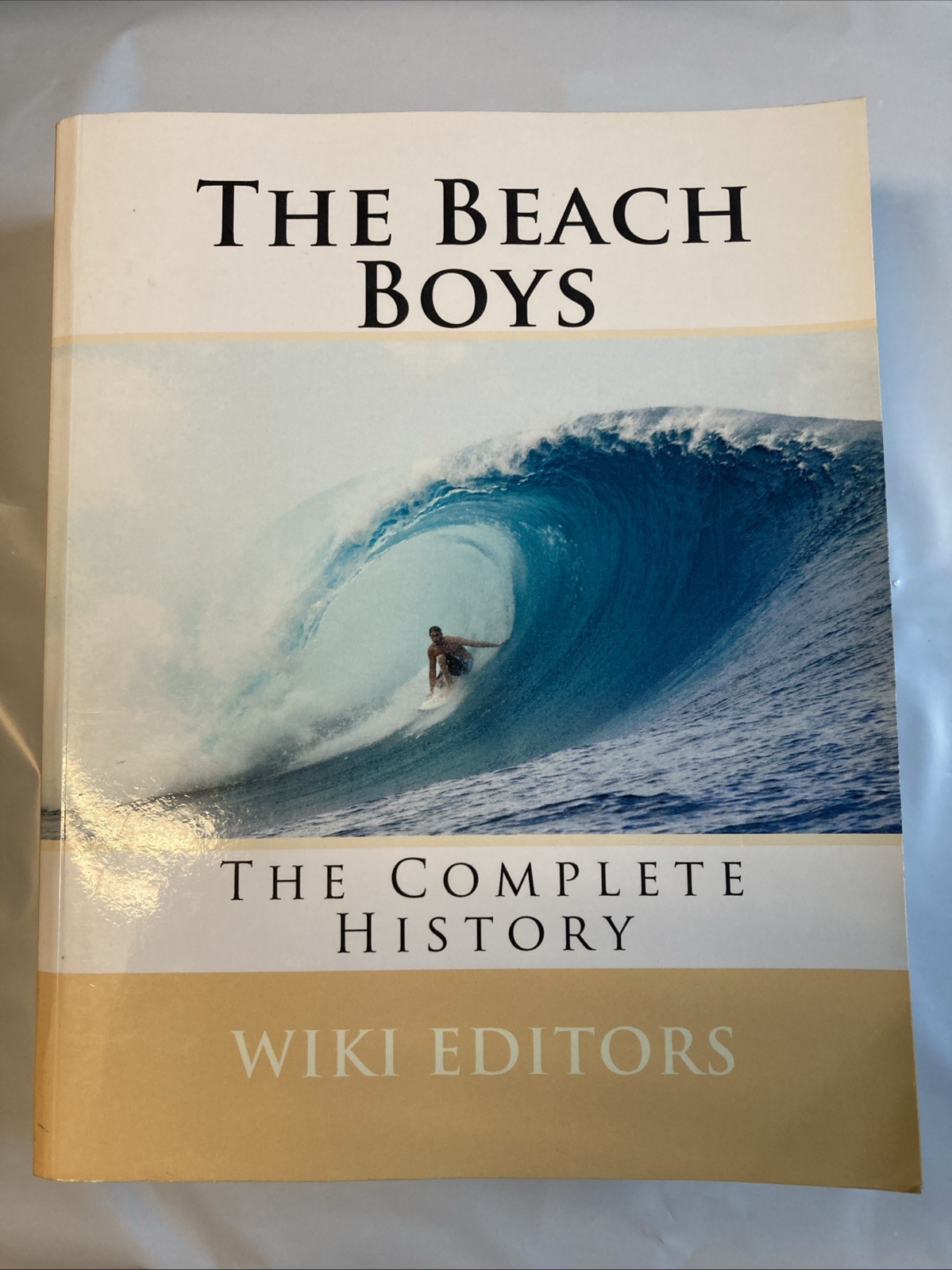 THE BEACH BOYS : THE COMPLETE HISTORY BY WIKI EDITORS RARE!