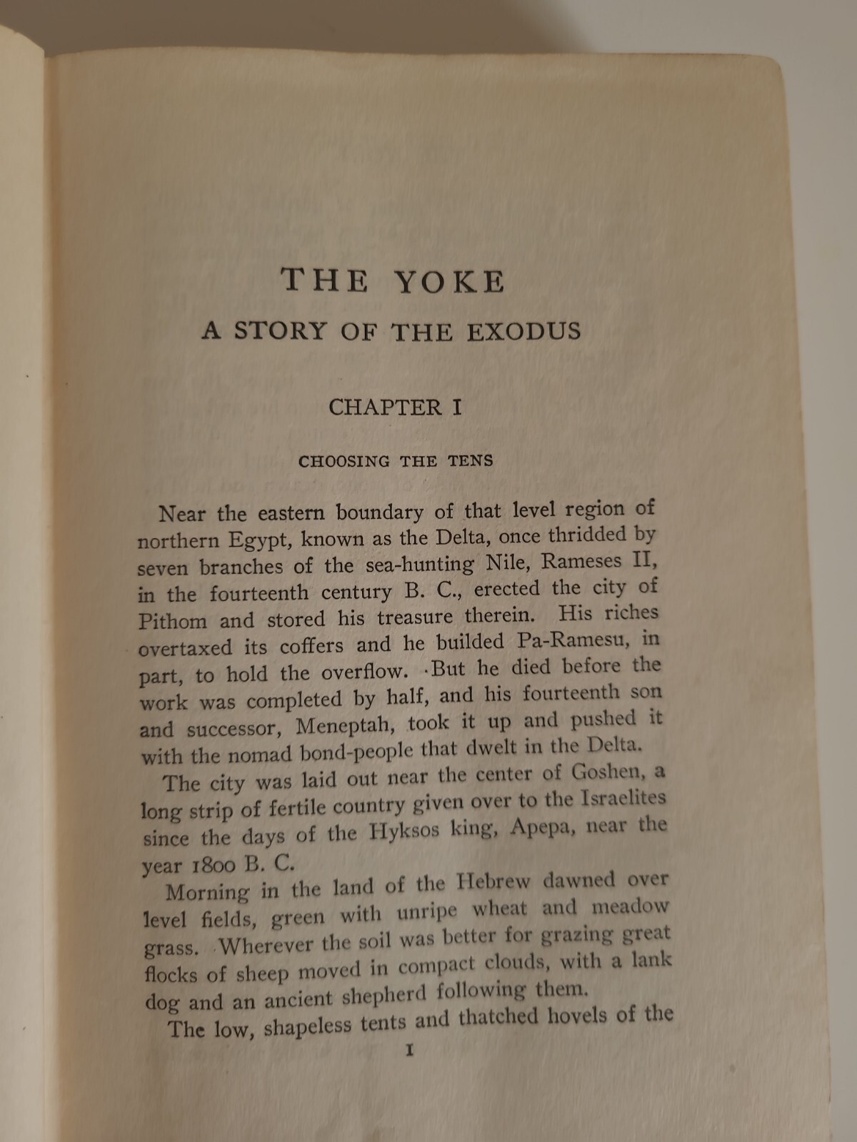 The Yoke By E. Miller, 1904 – Antique Decorative Book