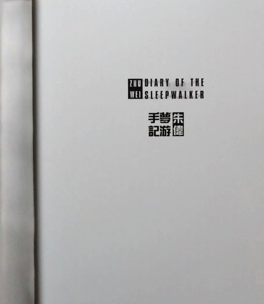 Diary of the Sleepwalker Zhu Wei Art Book Hardcover 11.8×8.7in 2cm Spine