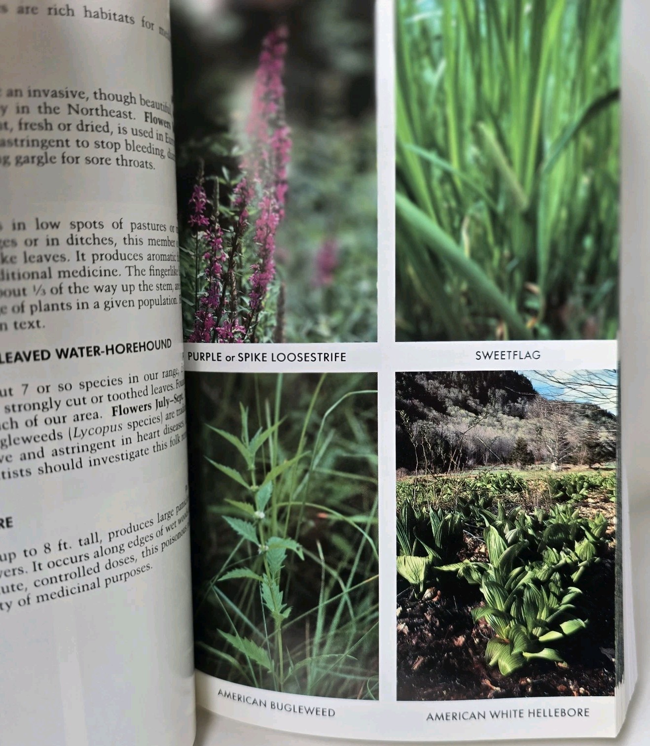 Peterson Field Guide Eastern / Central MEDICINAL PLANTS Steven Foster James Duke