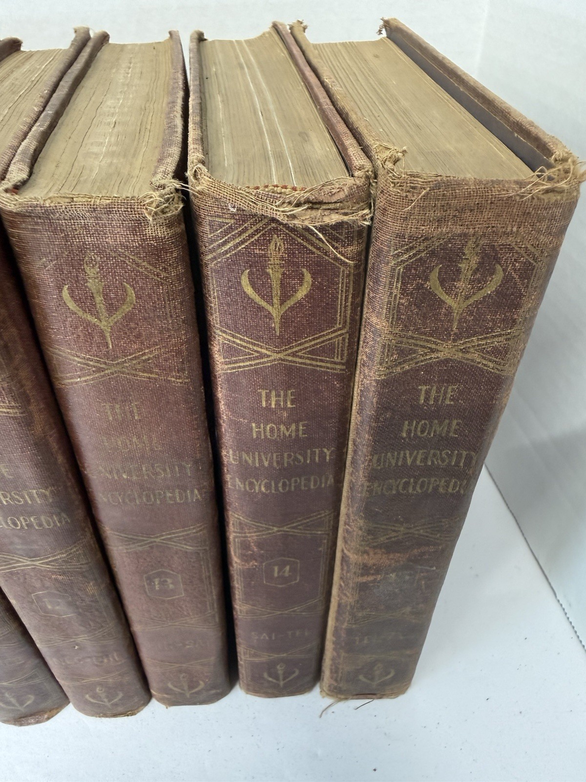RARE Vintage 15 Volume Set Of The Home University Encyclopedia By C Ralph Taylor
