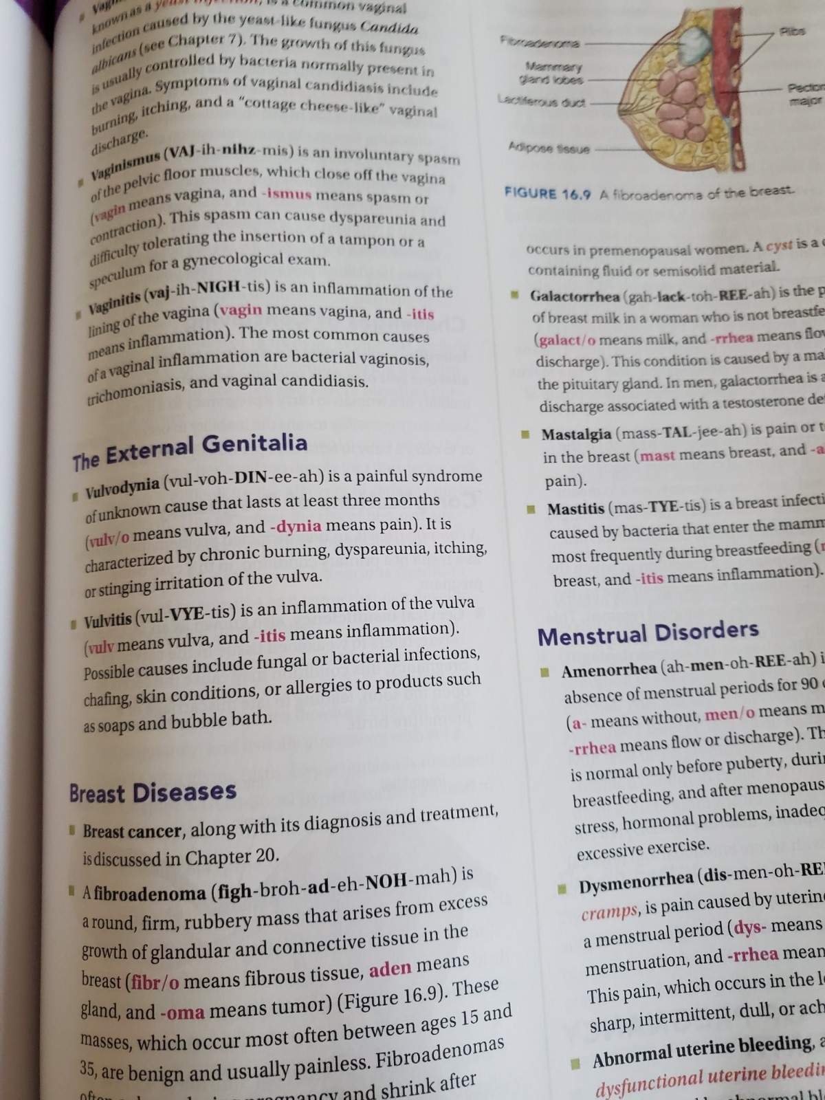 NEW Cengage Comprehensive Medical Terminology for Health Professions 9thEd.