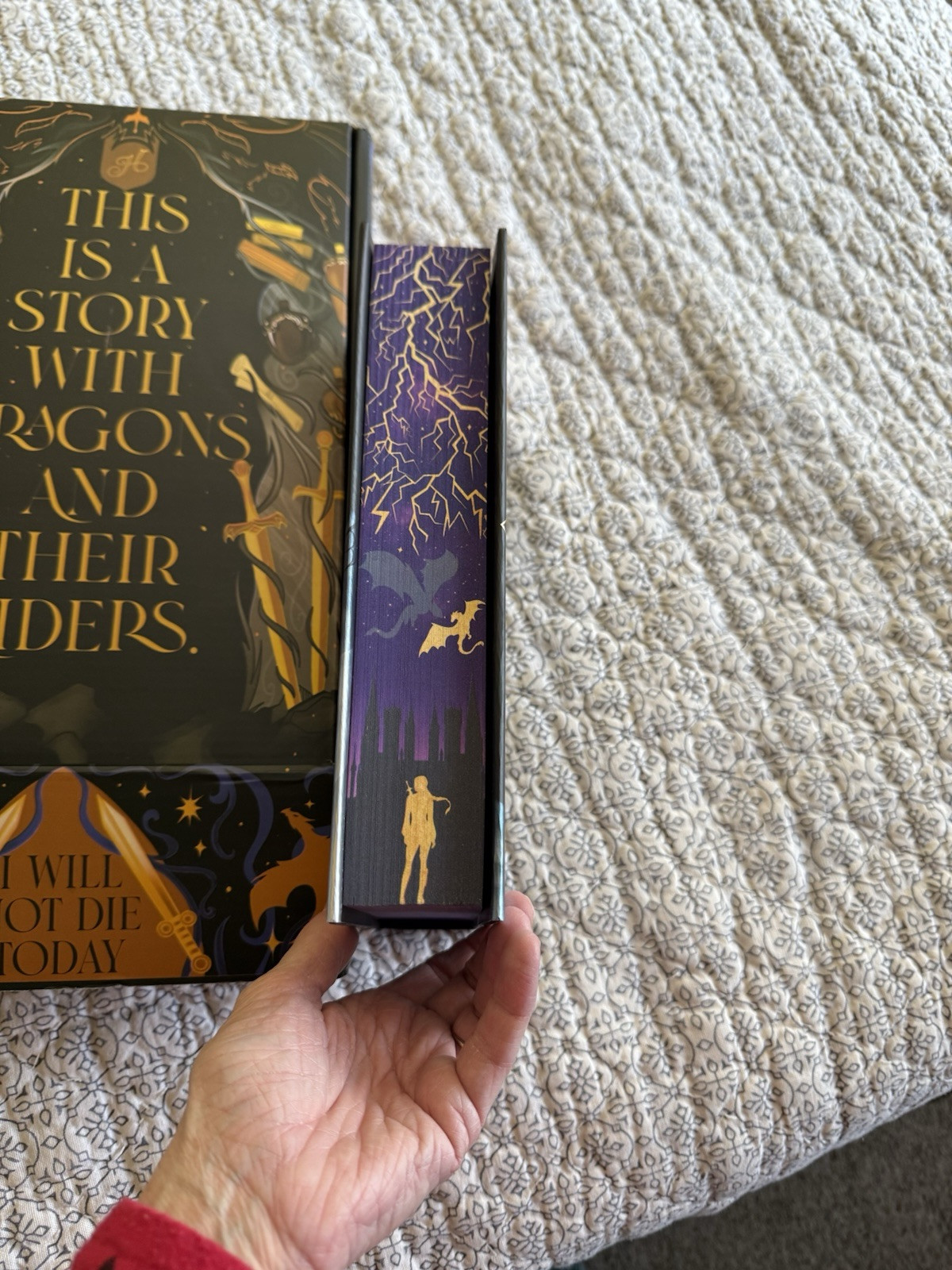 ONYX STORM CUSTOM PURPLE SPRAYED EDGES HEMINGWAY BOOKS WITH CUSTOM BOX