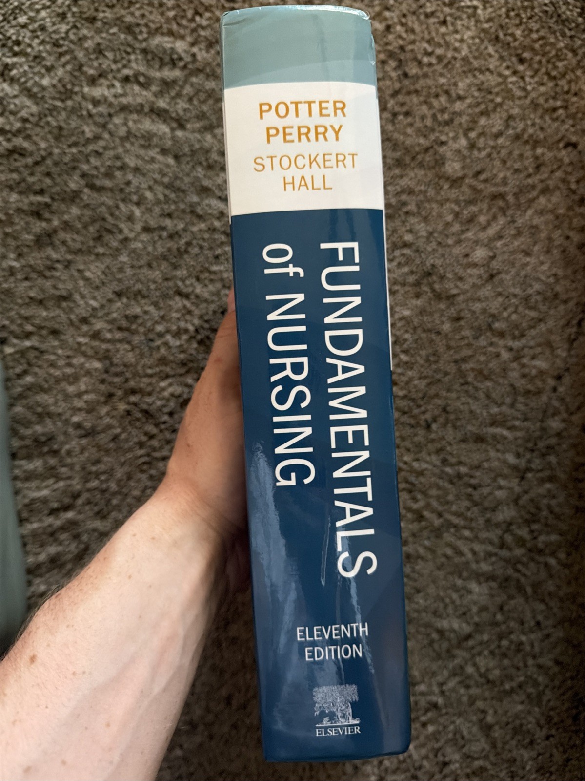 Fundamentals of Nursing by Patricia A. Stockert, Anne Griffin Perry,