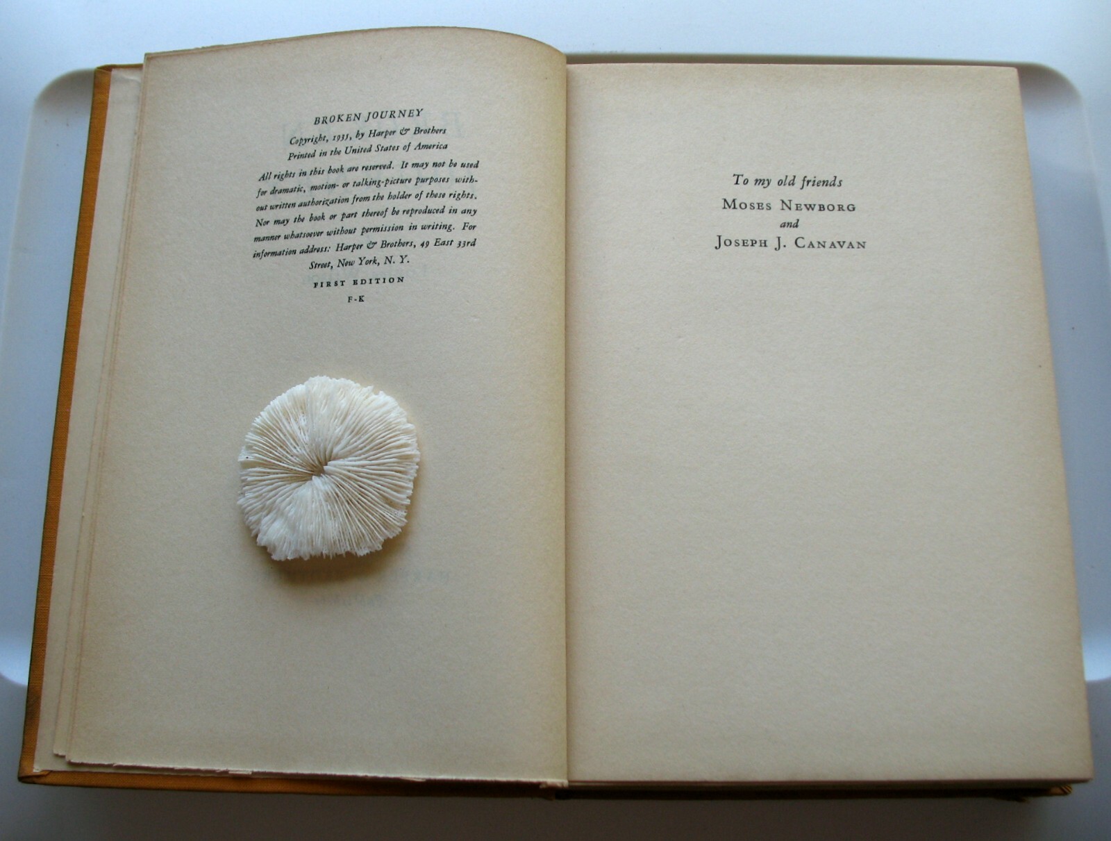 1935 BROKEN JOURNEY by Louisa Wilson ~~ First Edition ~~ 343 Pages