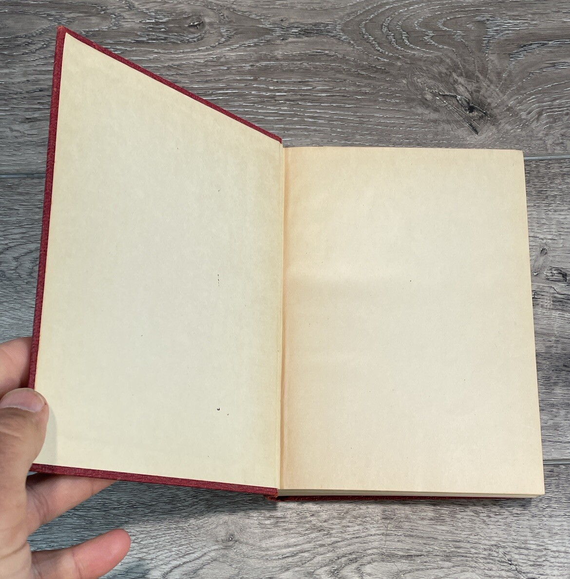 Short Stories by Alexandre Dumas Ten Volumes In One 1927 Vintage Book Classic