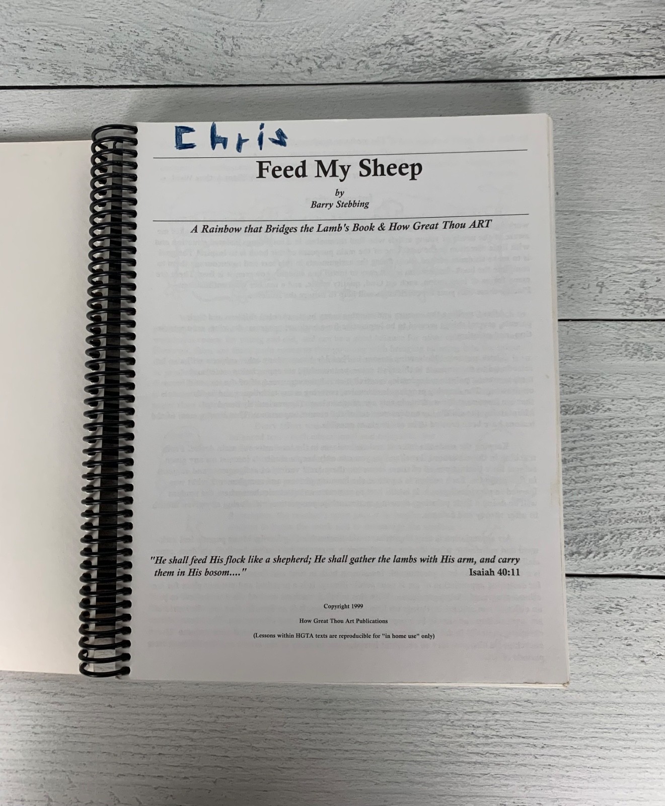 Feed My Sheep Art Curriculum Spiral bound by Barry Stebbing Book Homeschool