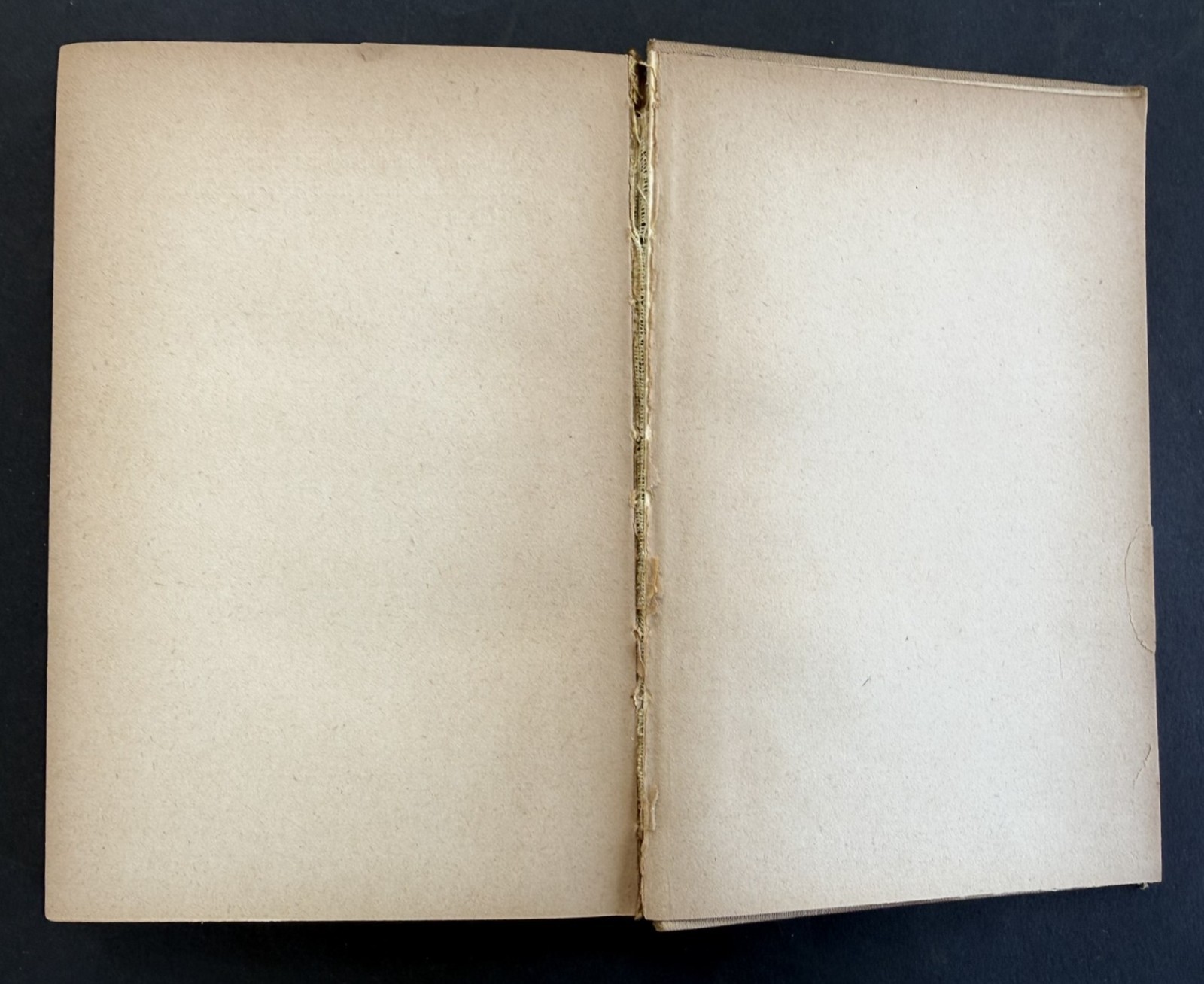 Franz Werfel Inscribed SIGNED in Vienna Nicht der Mörder 1922 Kurt Wolff German