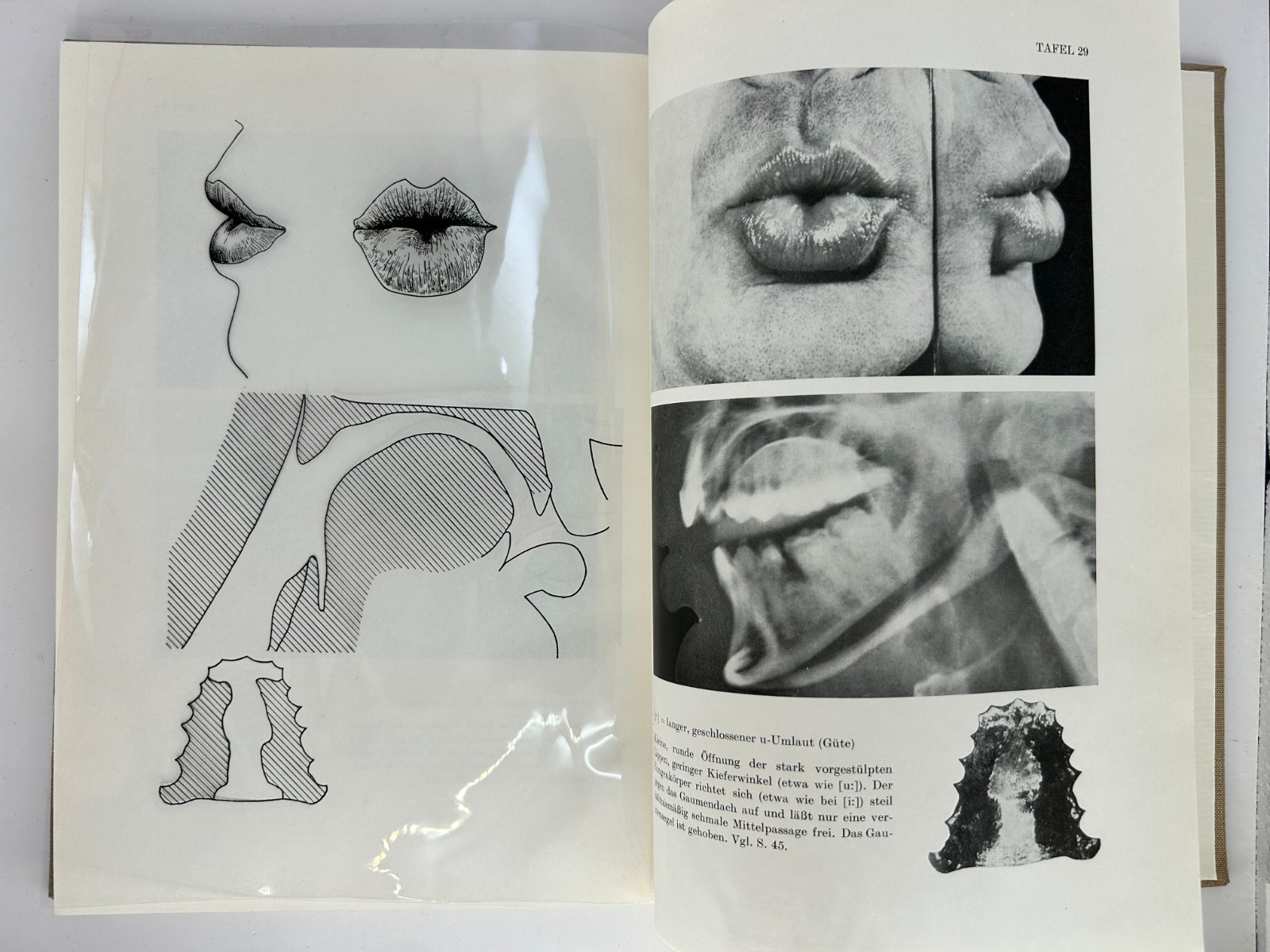 Atlas Deutscher Sprachlaute Wangler 1974 German Phonetics Speech Atlas GDR HC