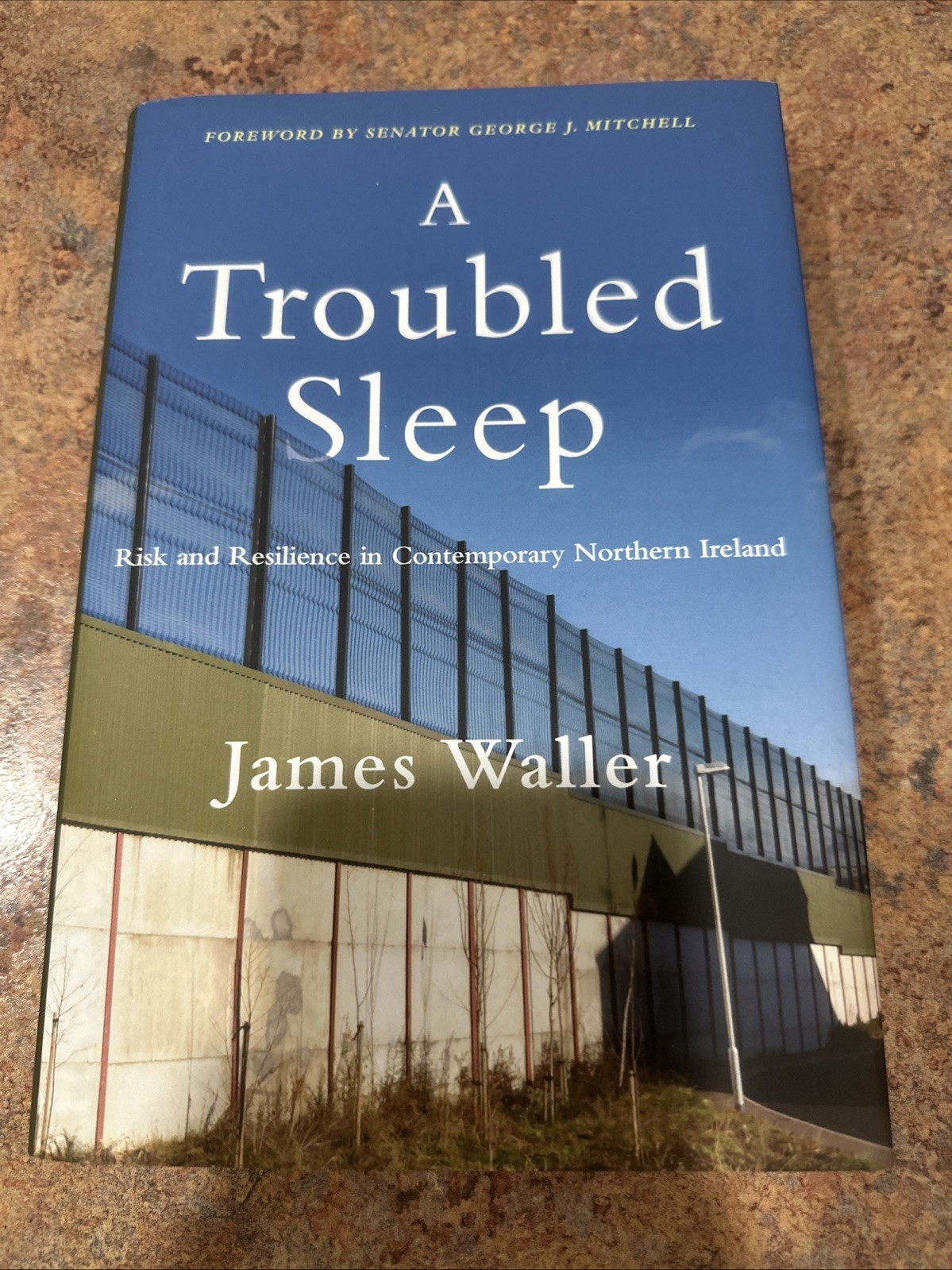 A Troubled Sleep: Risk & Resilience in Contemporary N Ireland: Waller (2021)