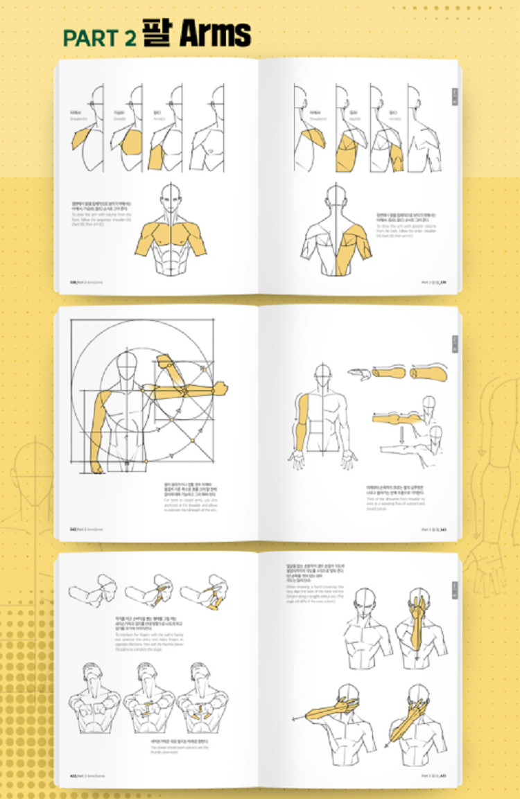 Point Character Drawing 2 Taco Korean Manga Anatomy Book English Sub Guide