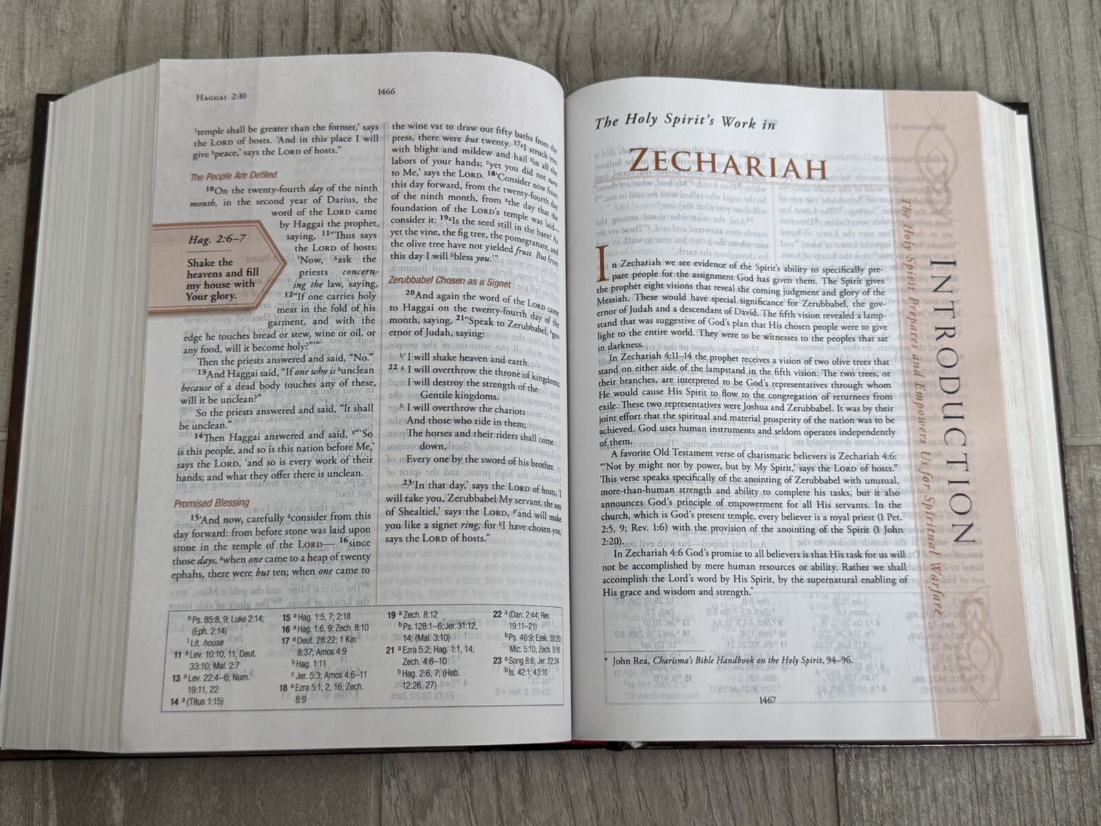 ✝️ Spiritual Warfare Bible: New King James Version 2012 Charisma House
