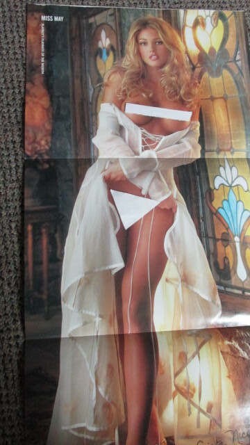 Full Year Set of 12, 2001 CENTERFOLDS: Playboy Magazine: DALENE KURTIS PMOY
