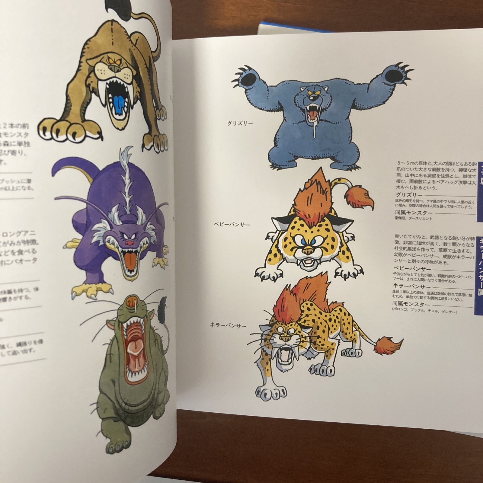 Akira Toriyama Illustrations Dragon Quest Monsters Art Book Set