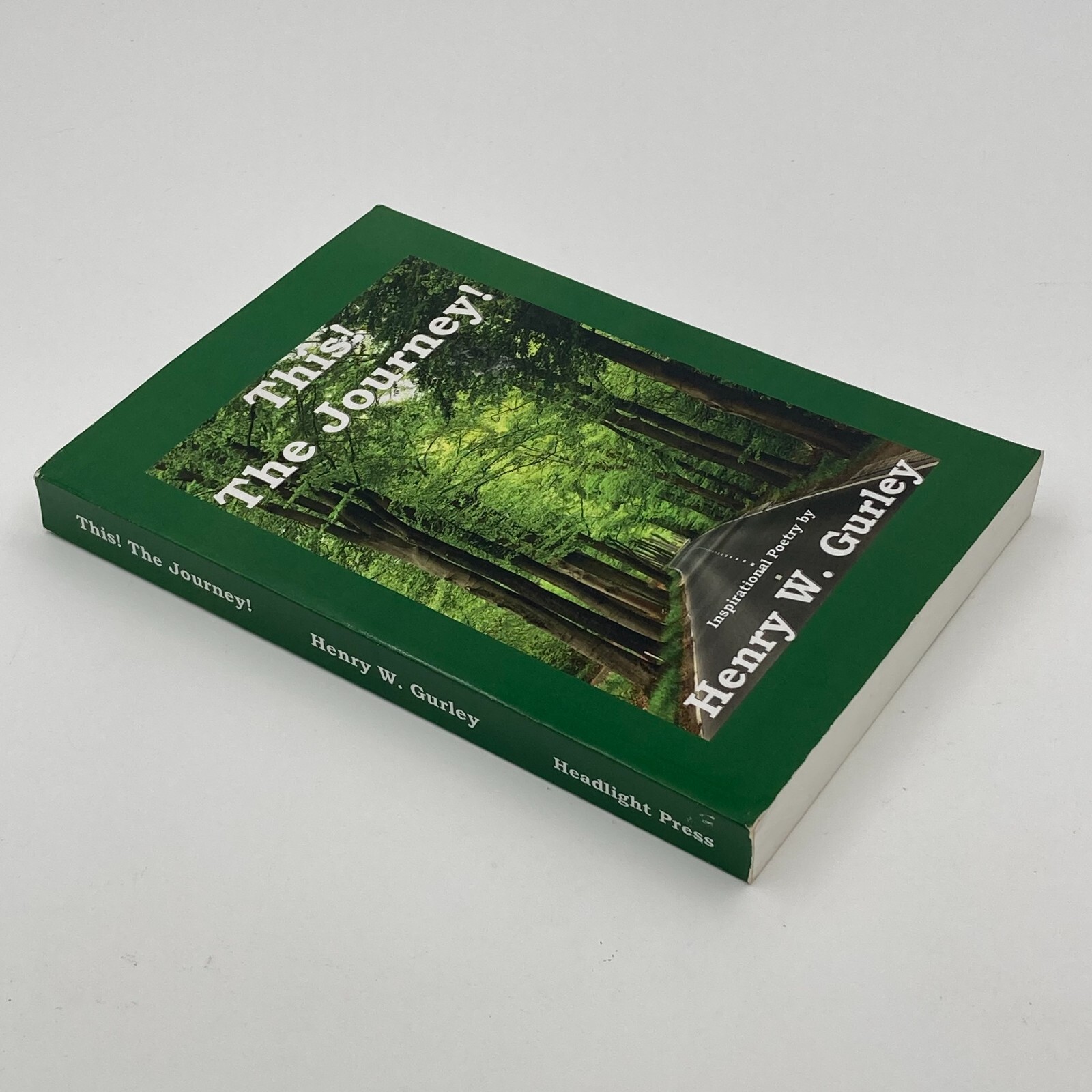 This! The Journey! Inspirational Poetry by Henry W Gurley PB 2013 343 Pages