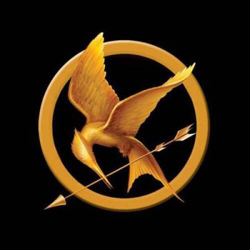 The Hunger Games Tribute Guide – Paperback By Seife, Emily – ACCEPTABLE