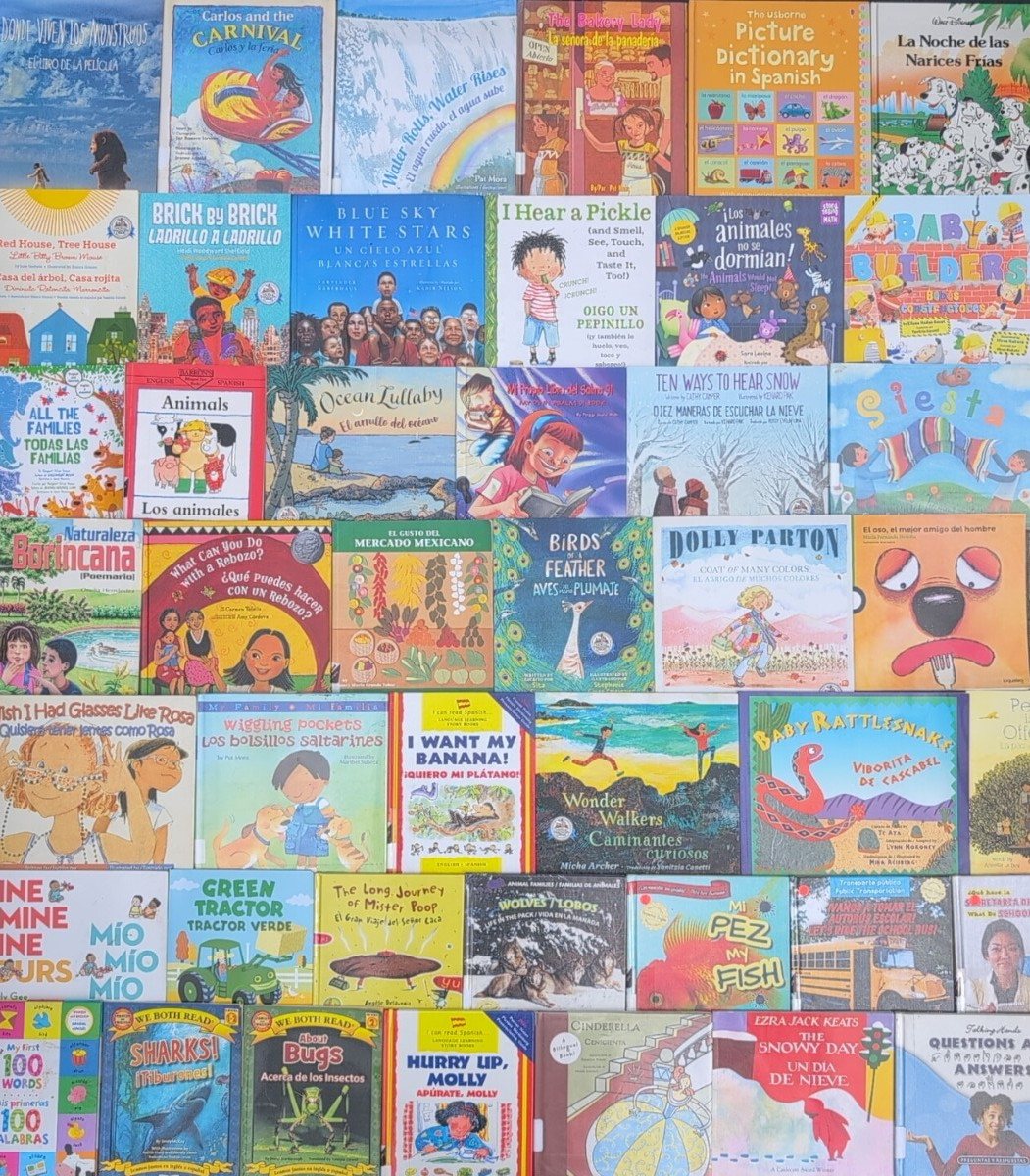 RANDOM MIX Lot of 10 BILINGUAL Spanish AND English Children’s Picture Books