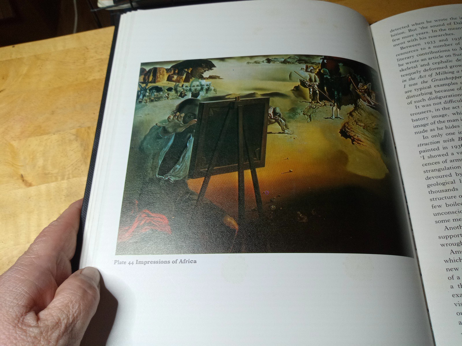 Dali Surrealist Artist Maddox Conroy Random House 1979 Hardcover DJ 1st