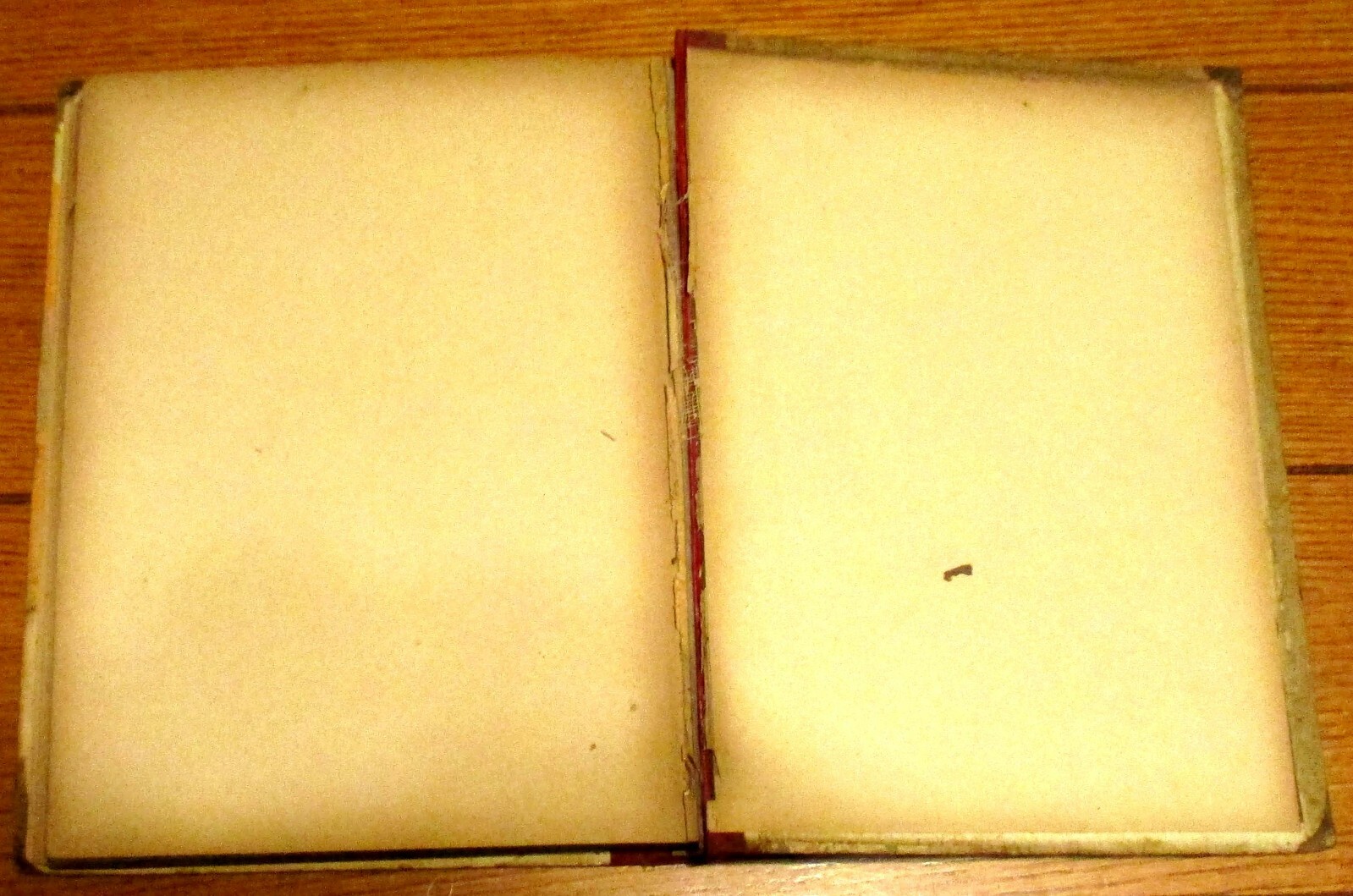 Bible Story Land New Testament Edition 1892 H/C 220 Pages RARE!!!