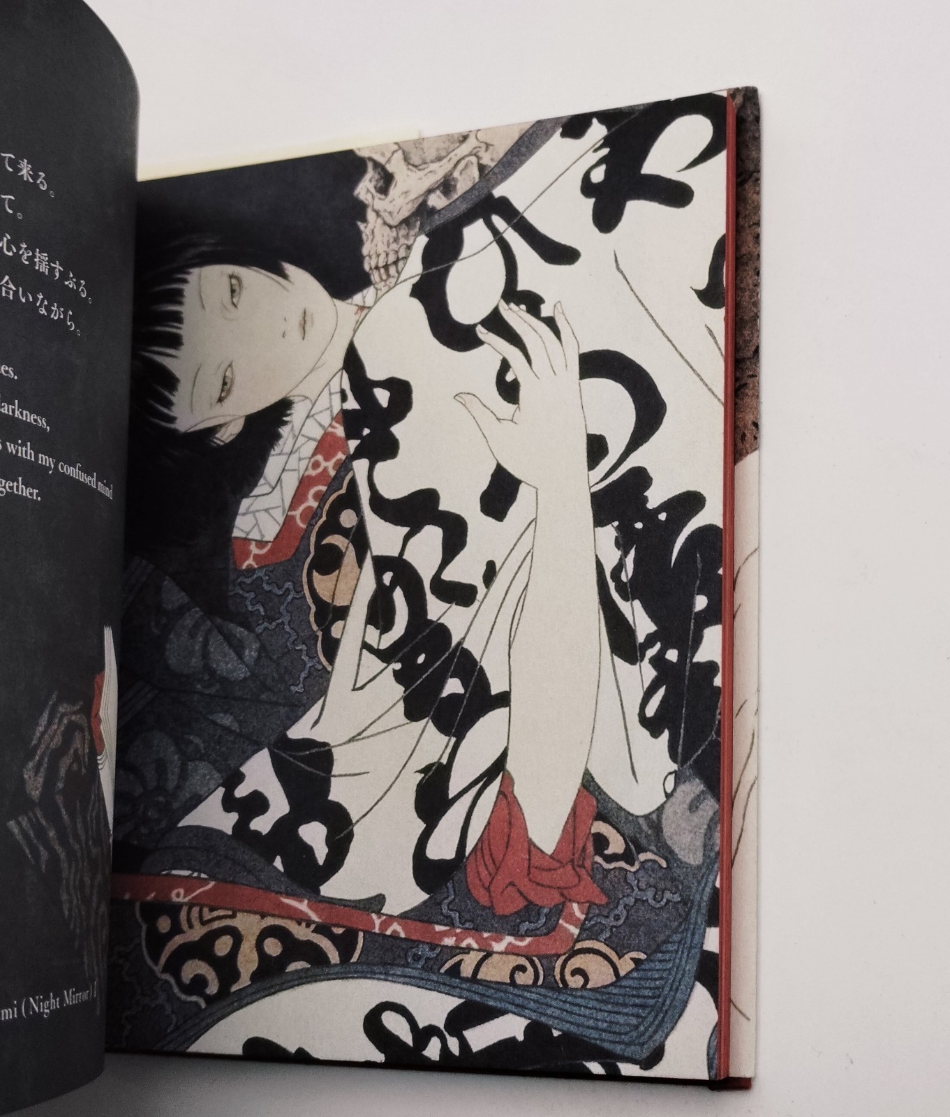 Vampire’s Box Takato Yamamoto Art Book Gothic Illustration