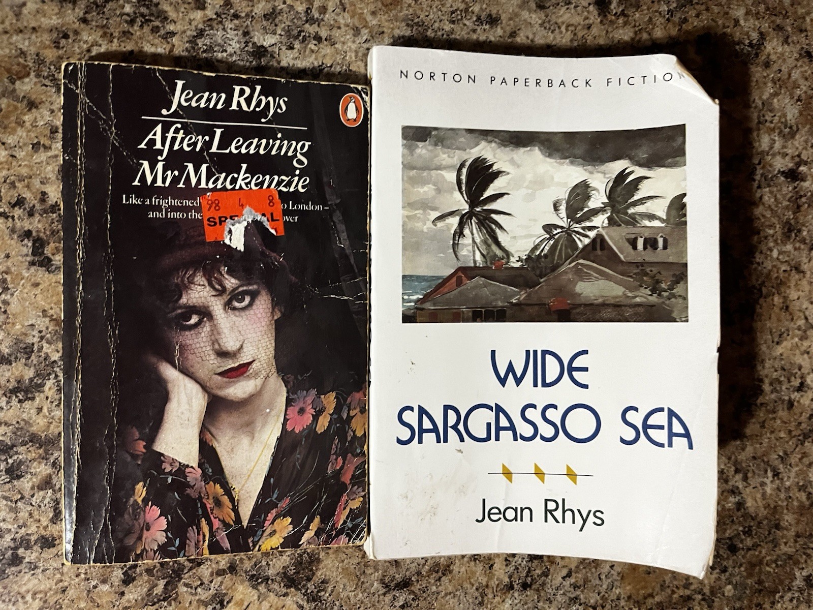 2 Book Lot Jean Rhys Paperback Wide Sargasso Sea After Leaving Mrs Mackenzie