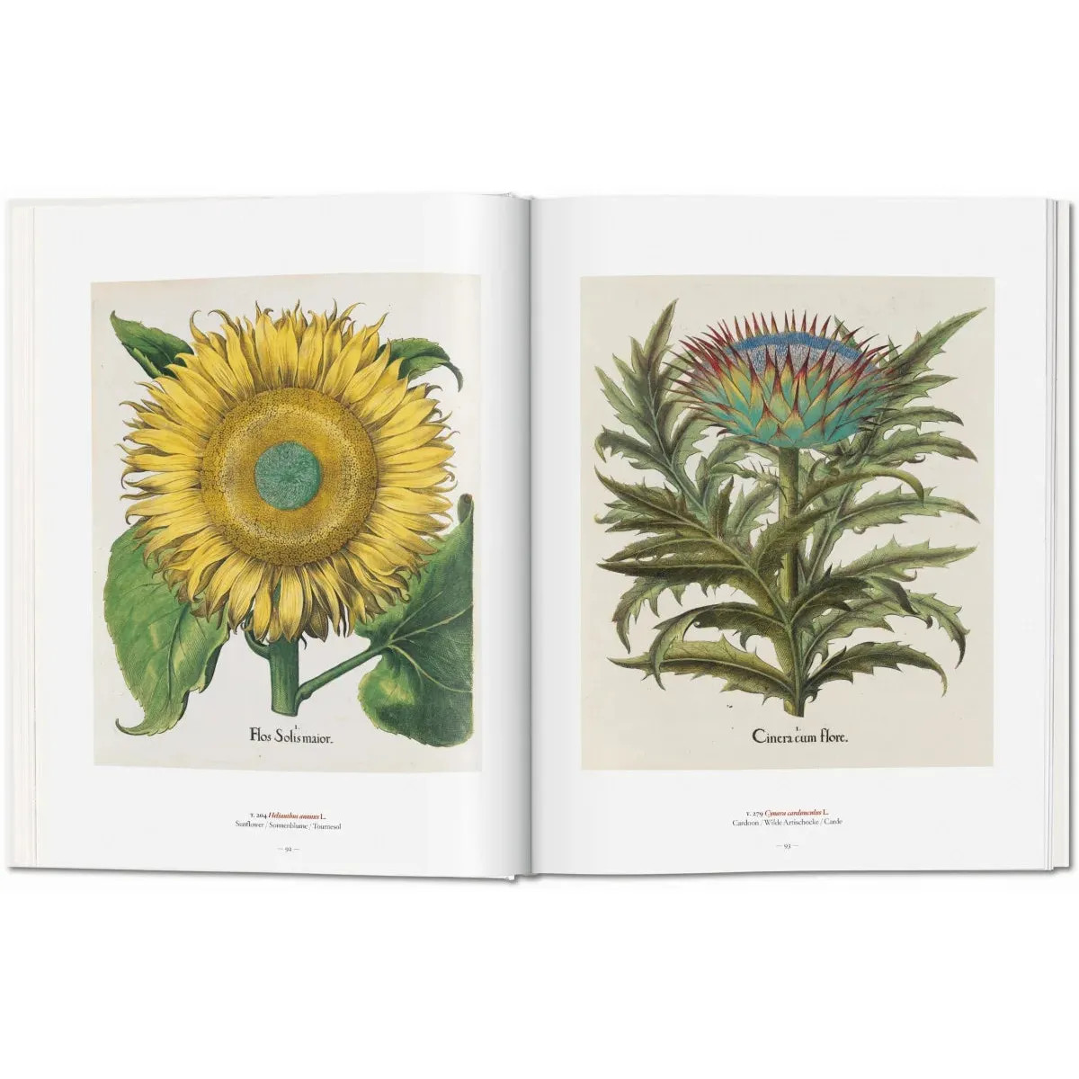 NEW – A Garden Eden. Masterpieces of Botanical Illustration – Taschen Books