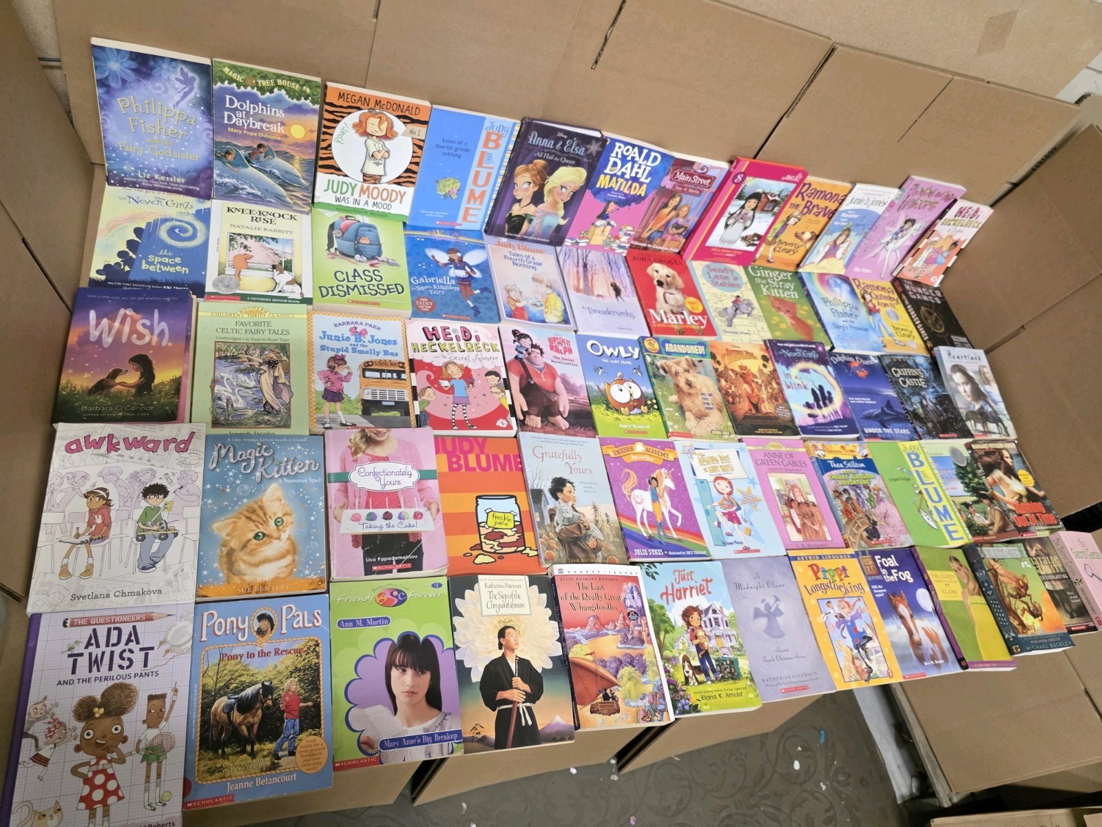 Lot of 20 Chapter Books for GIRLS Youth Early Reader Young Adult Children RANDOM