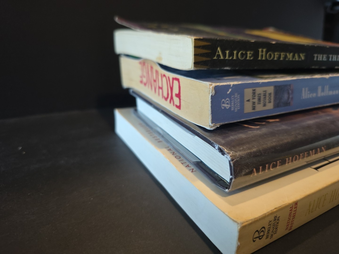 Lot of 4 Alice Hoffman Books Novels