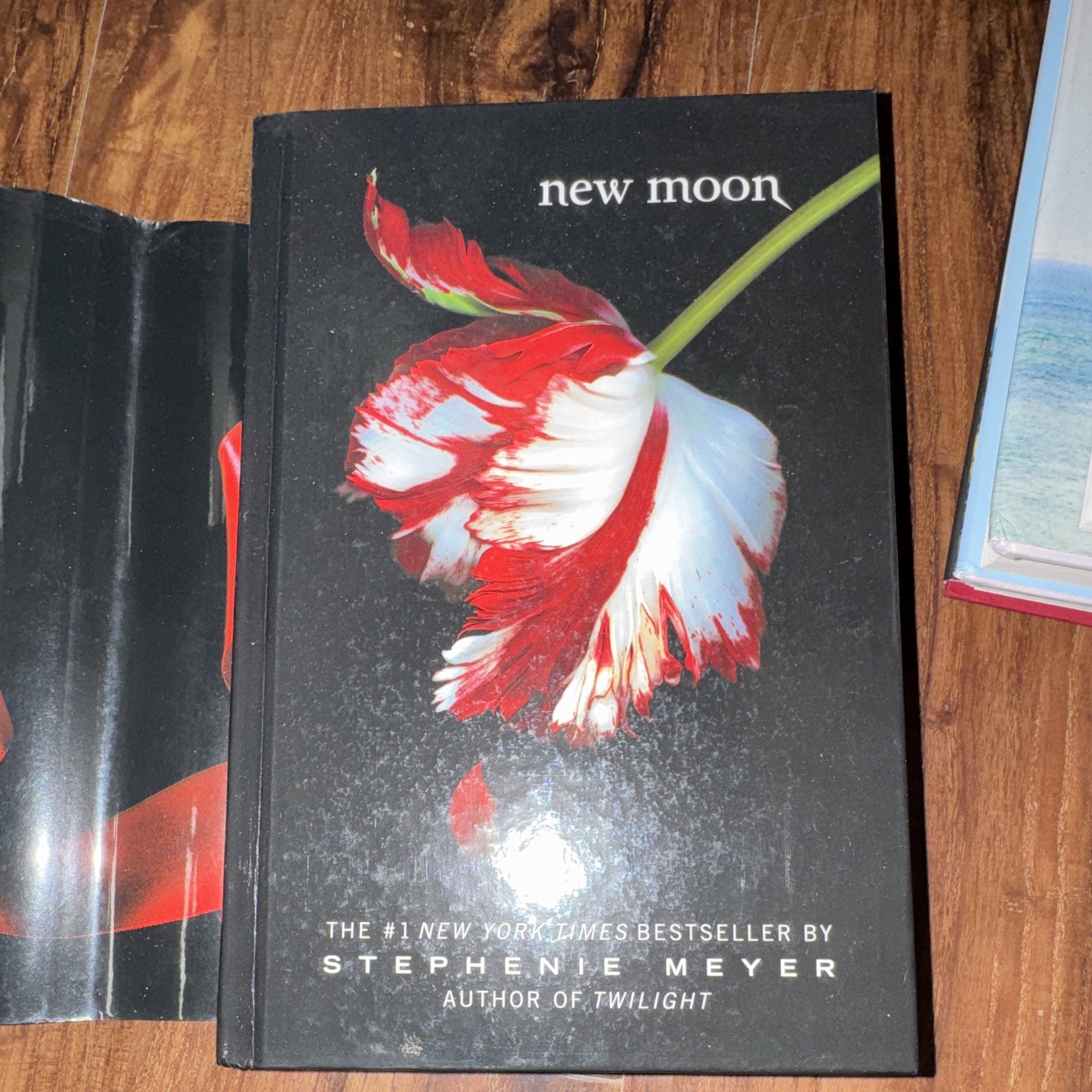 The Twilight Saga New Moon Special Edition Hardcover by Stephenie Meyer