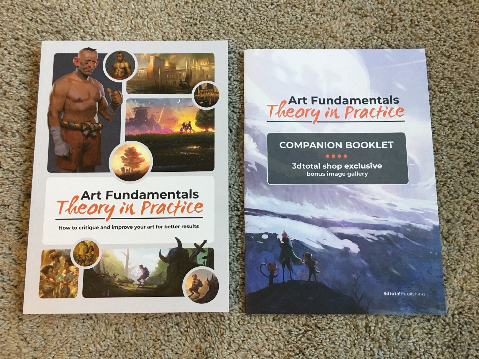 Art Fundamentals: Theory in Practice + Exclusive Companion Book (Paperback 2021)