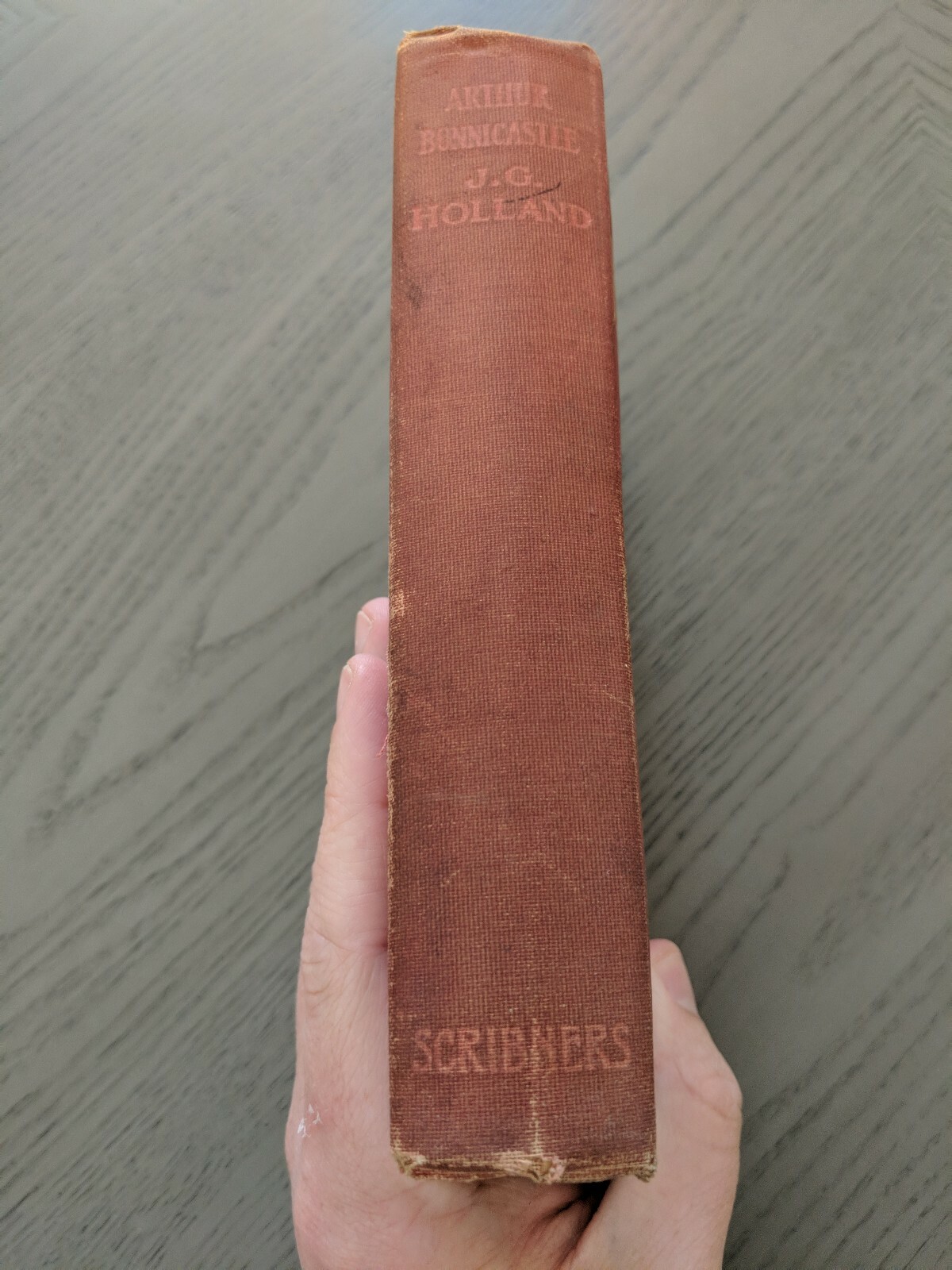 Arthur Bonnicastle (Hardcover 1905) J.G. Holland Charles Scribner’s Sons