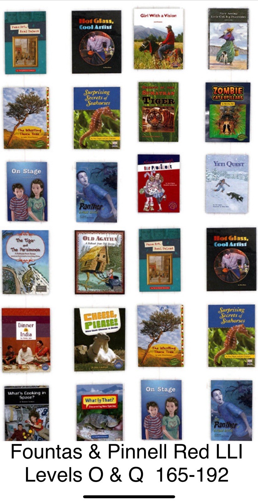 Set of 25 FOUNTAS & PINNELL Red LLI Levels O & Q Lessons 165-192 Leveled Readers