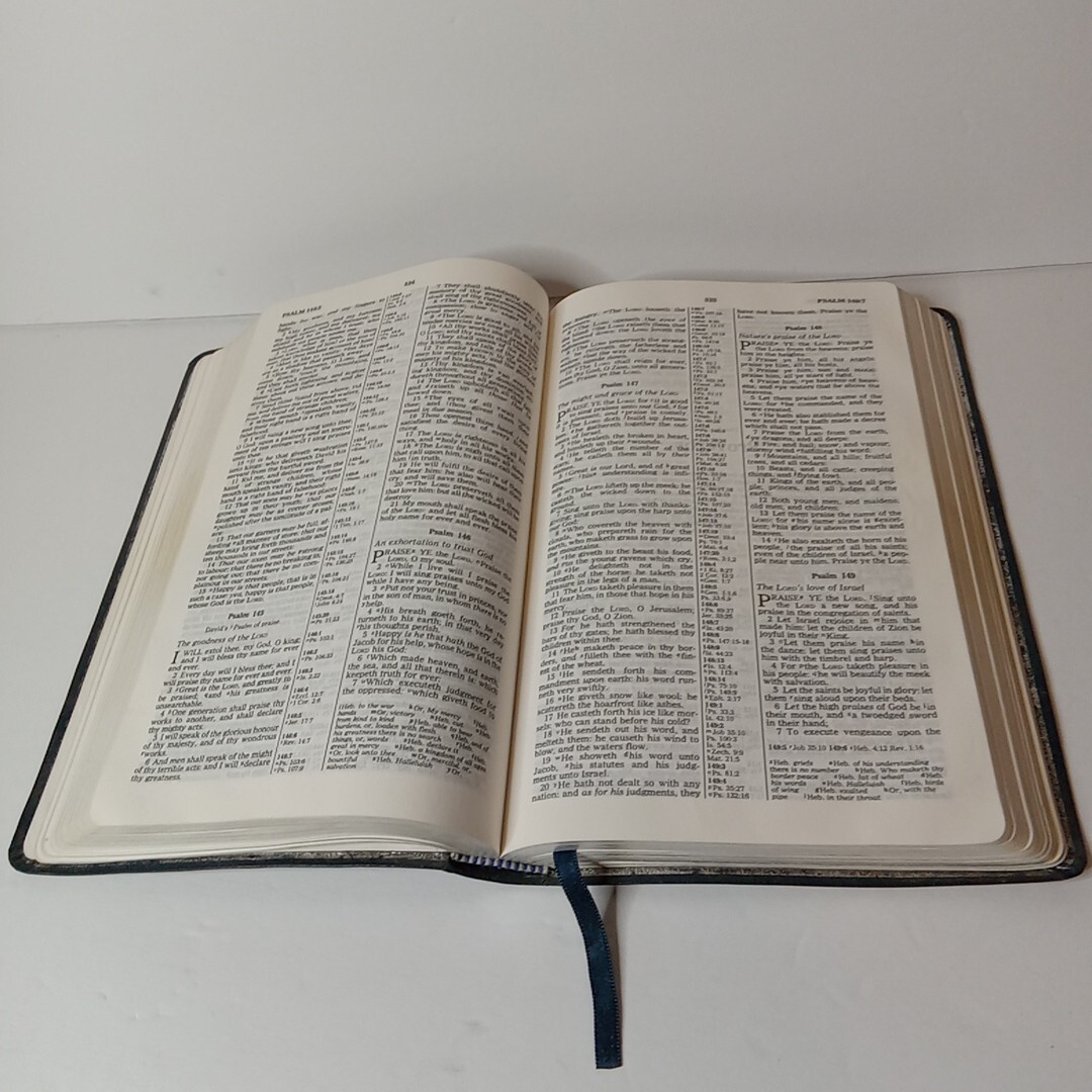 1994 Reference KJV Concordance Leather Red Letter Bible Zondervan Blue Vtg